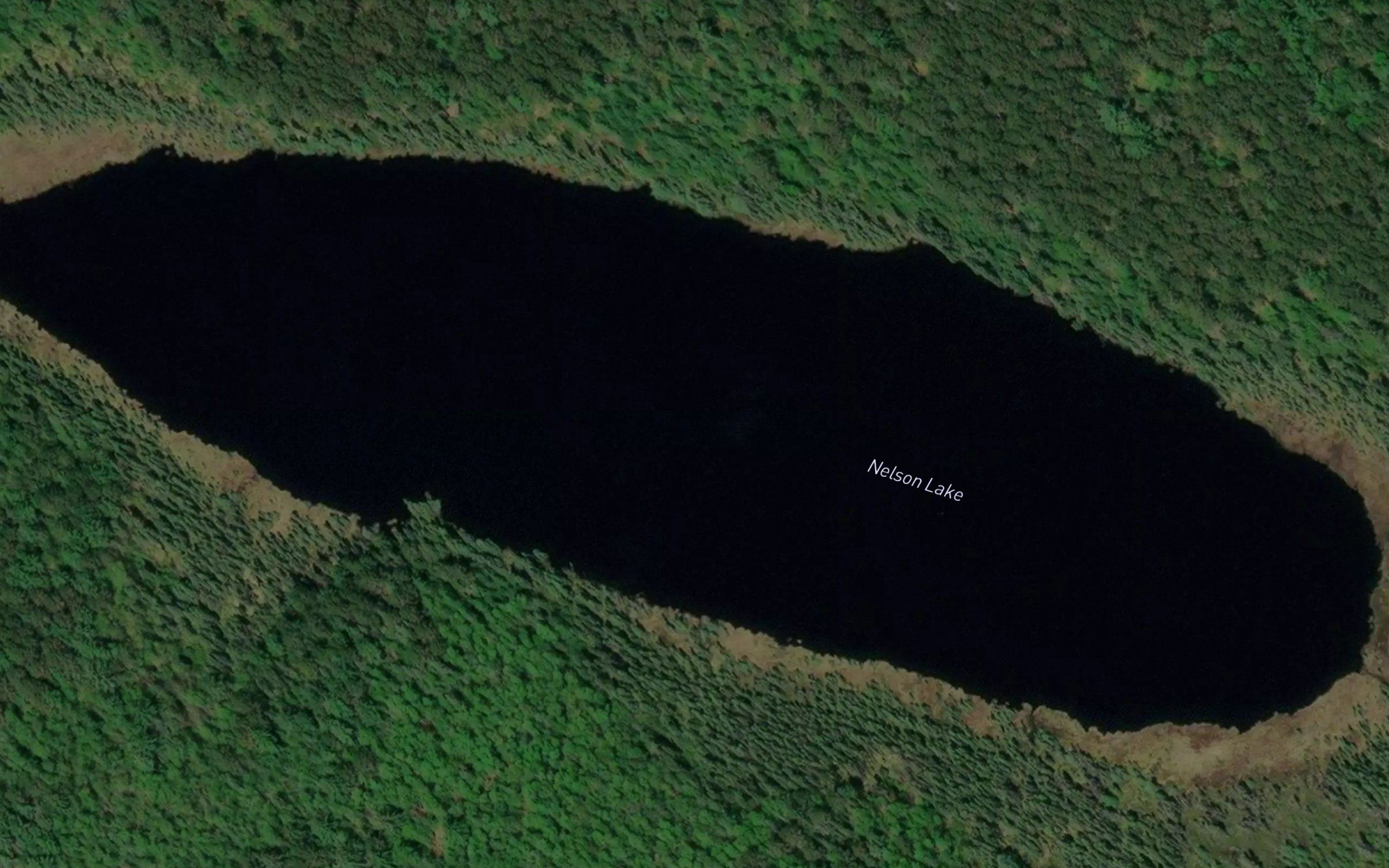 Nelson Lake