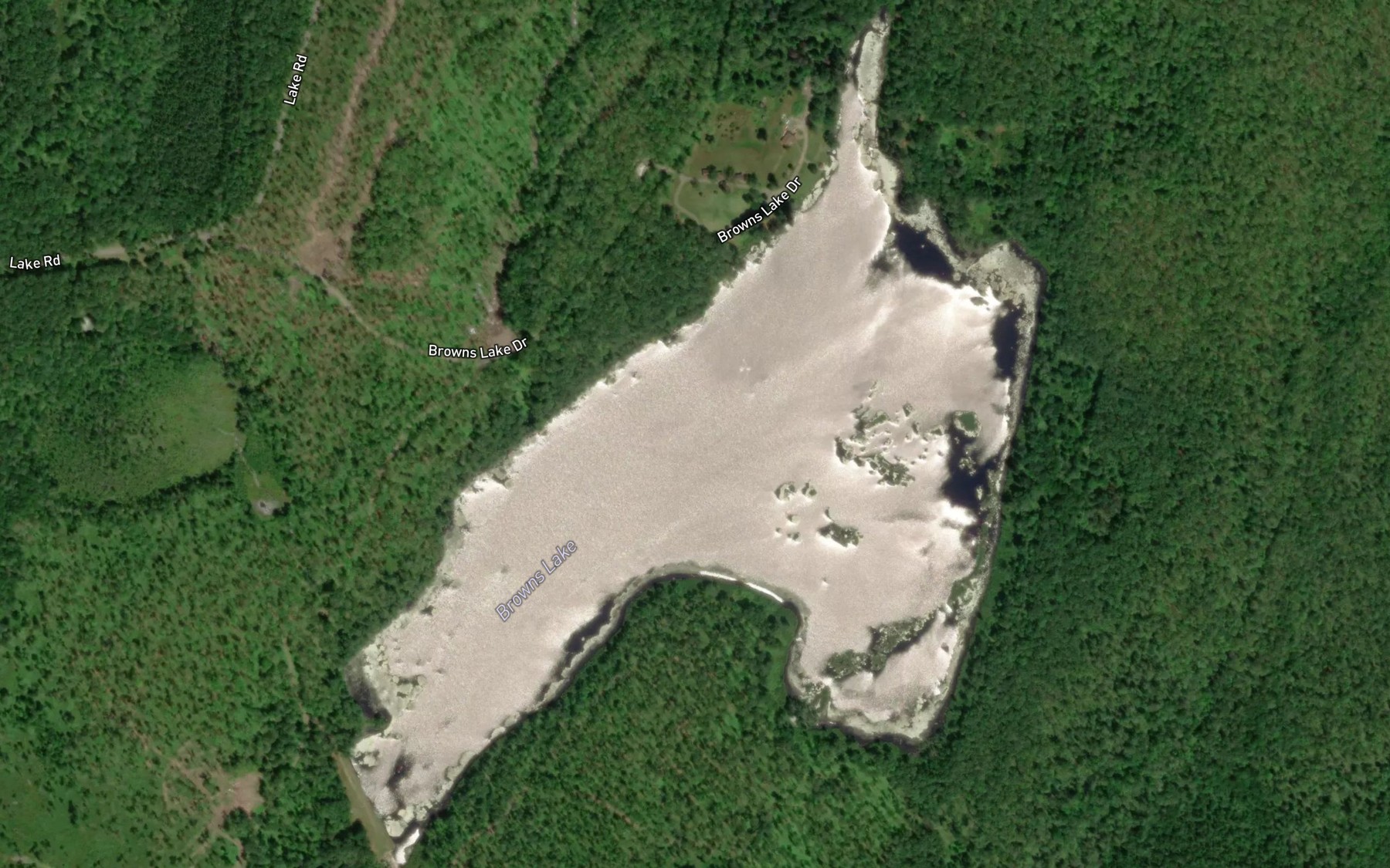 Satellite map of the Browns Lake