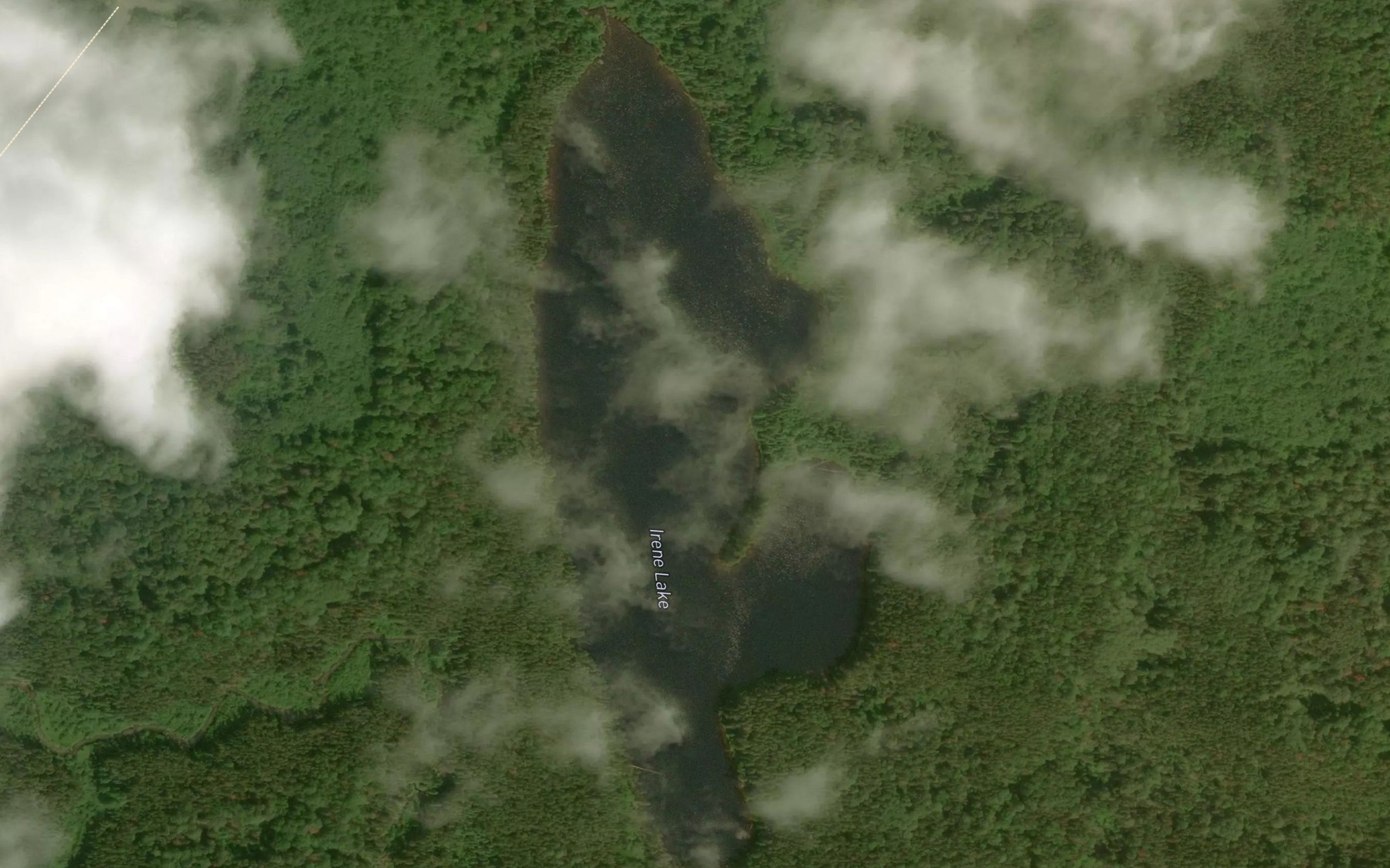 Satellite map of the Irene Lake
