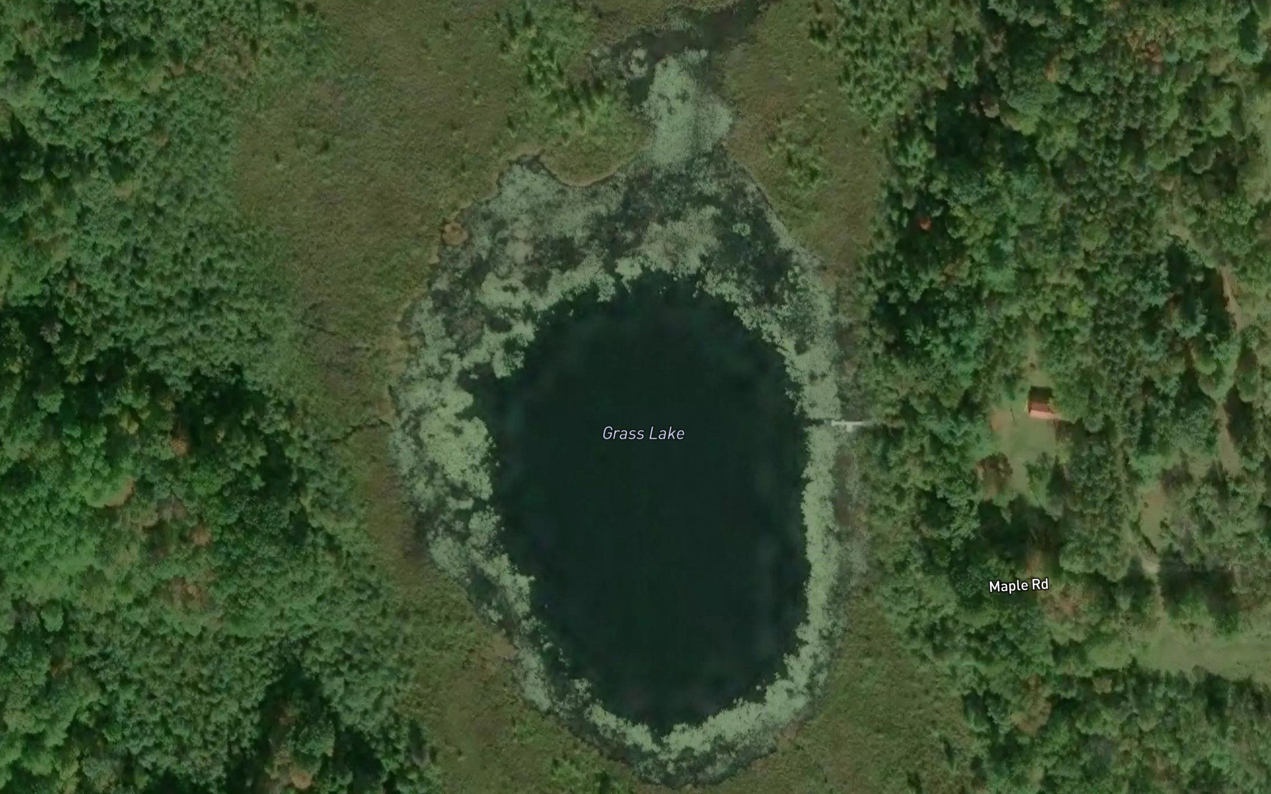 Grass Lake