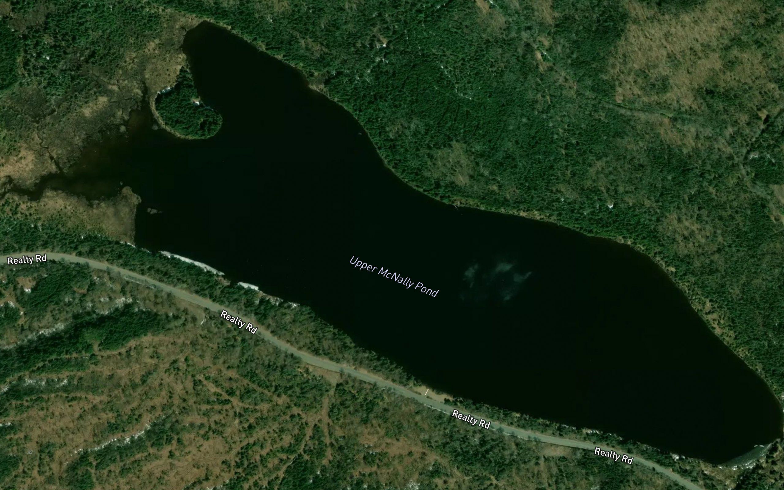 Upper McNally Pond