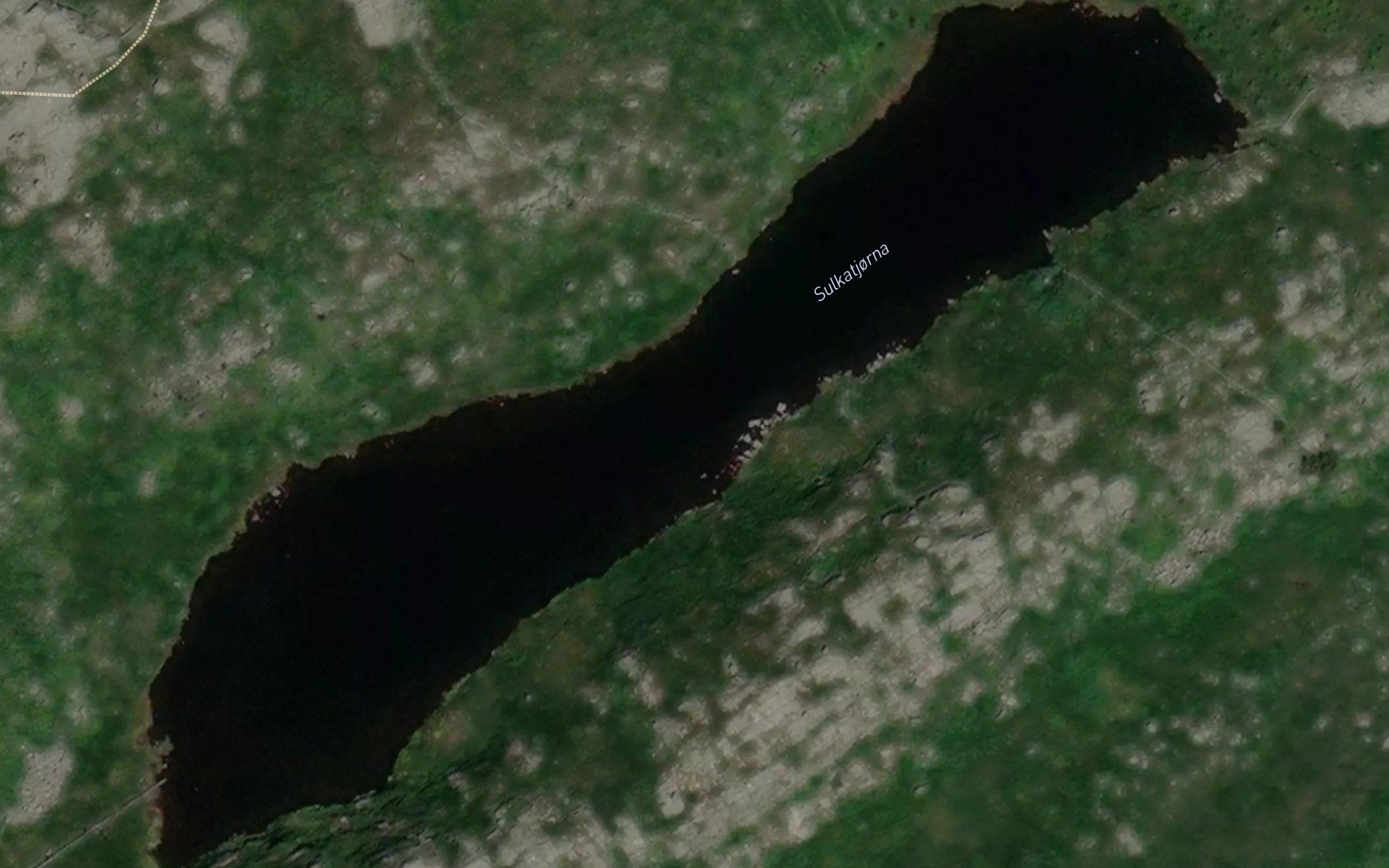 Solkatjorna