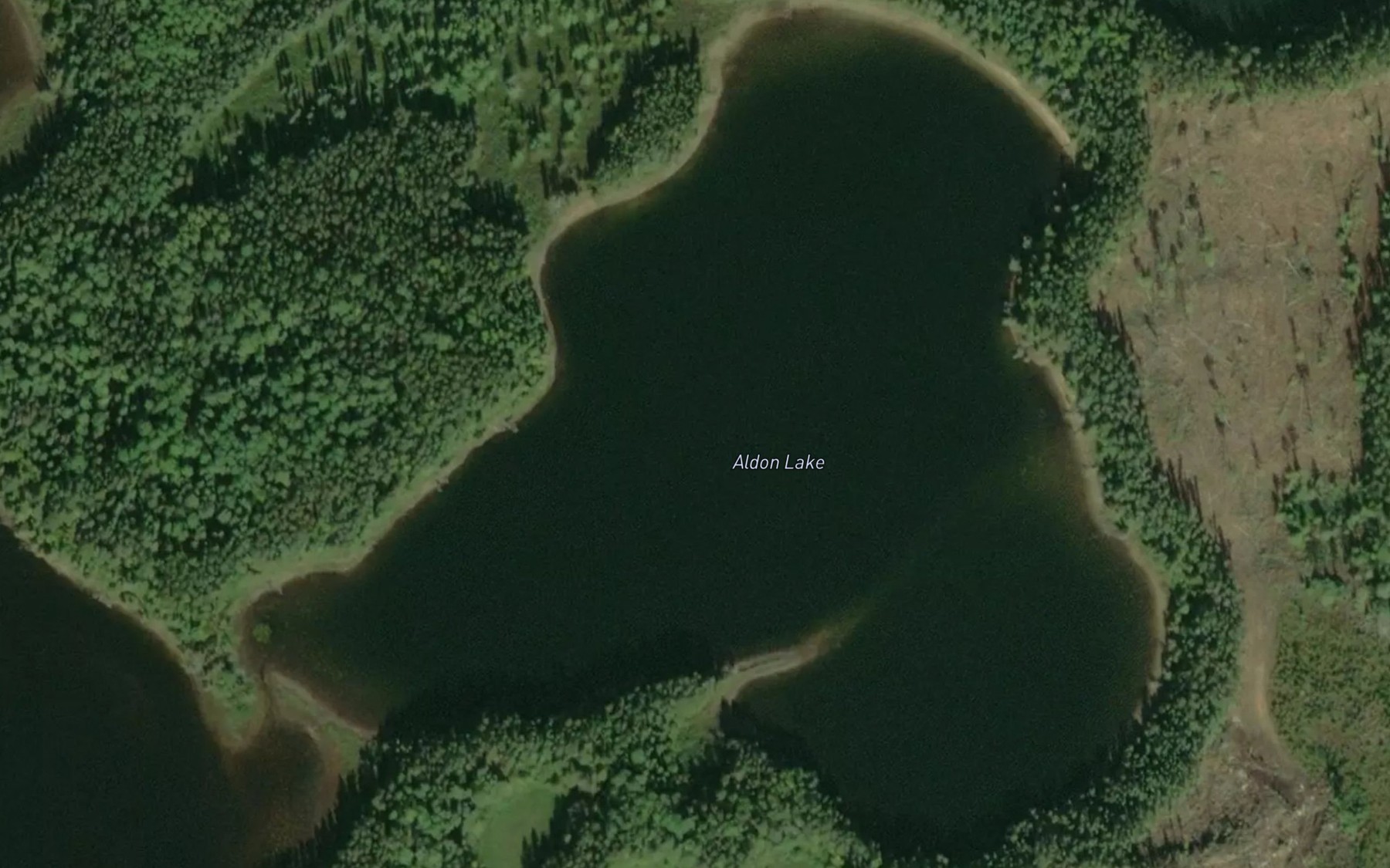 Satellite map of the Aldon Lake