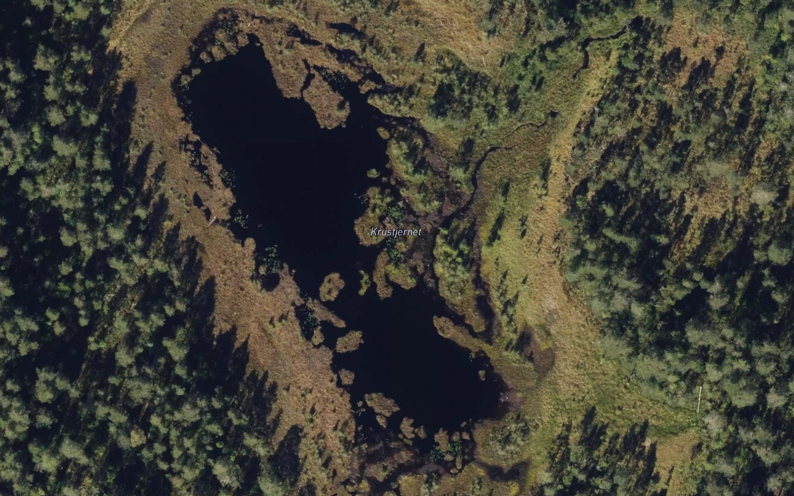 Krustjern