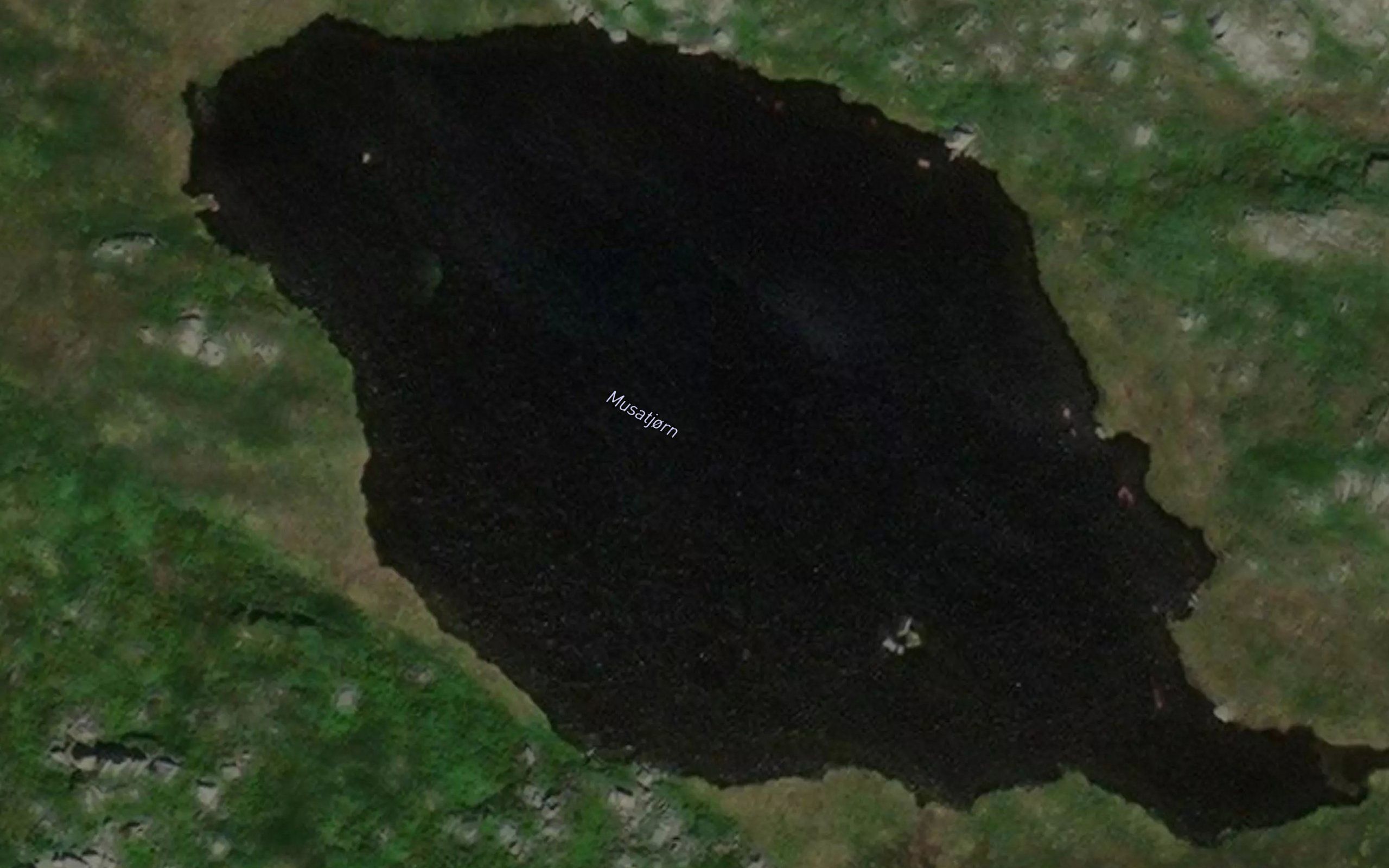 Musatjorn