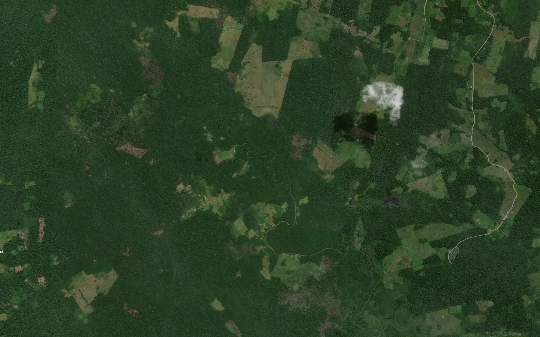 Satellite map of the Igarape Grande