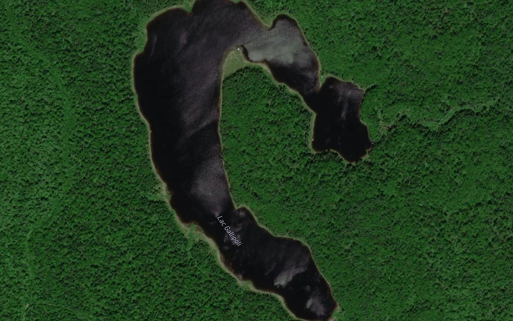 Satellite map of the Lac Gallipoli