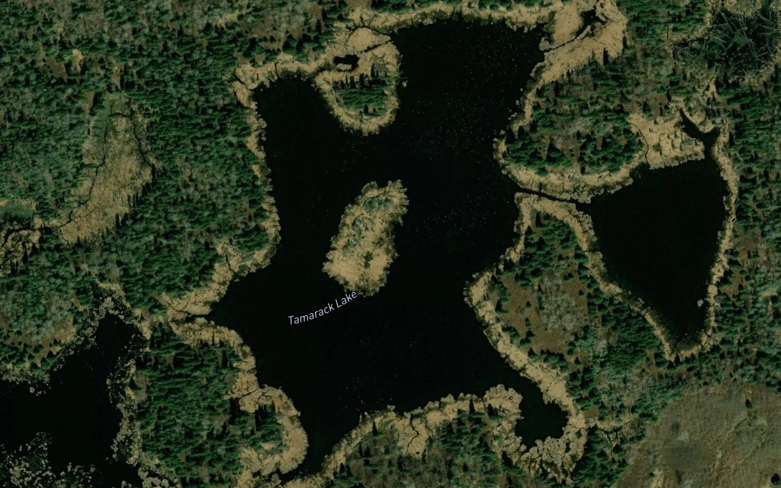 Tamarack Lake