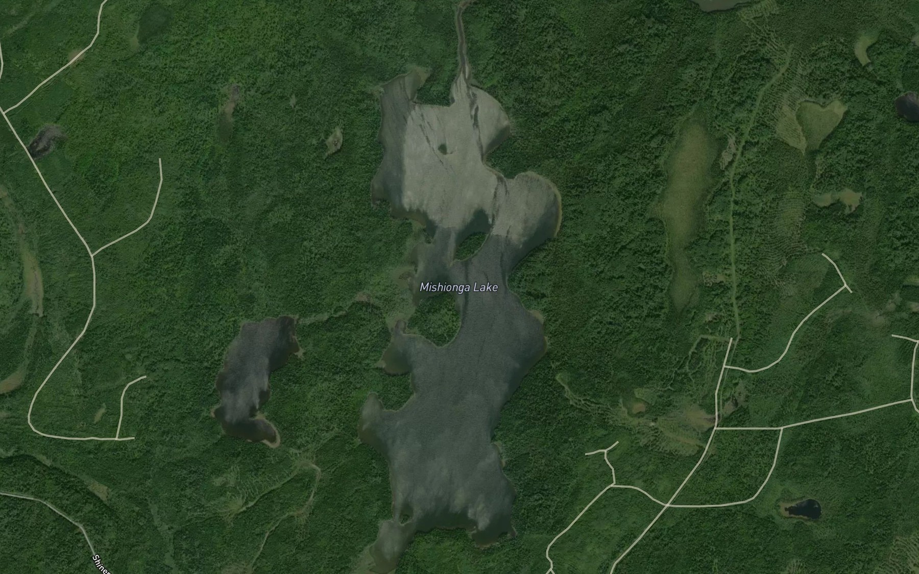 Satellite map of the Mishionga Lake