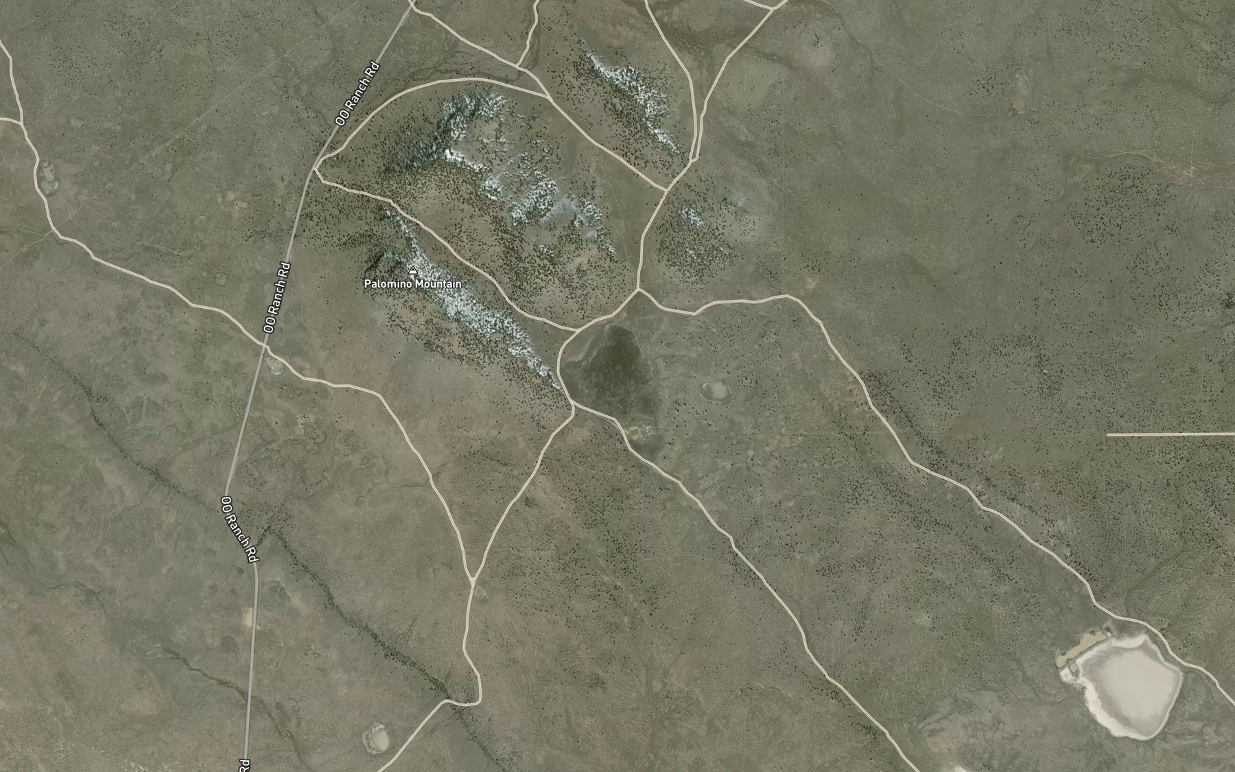 Satellite map of the Palomino Lake