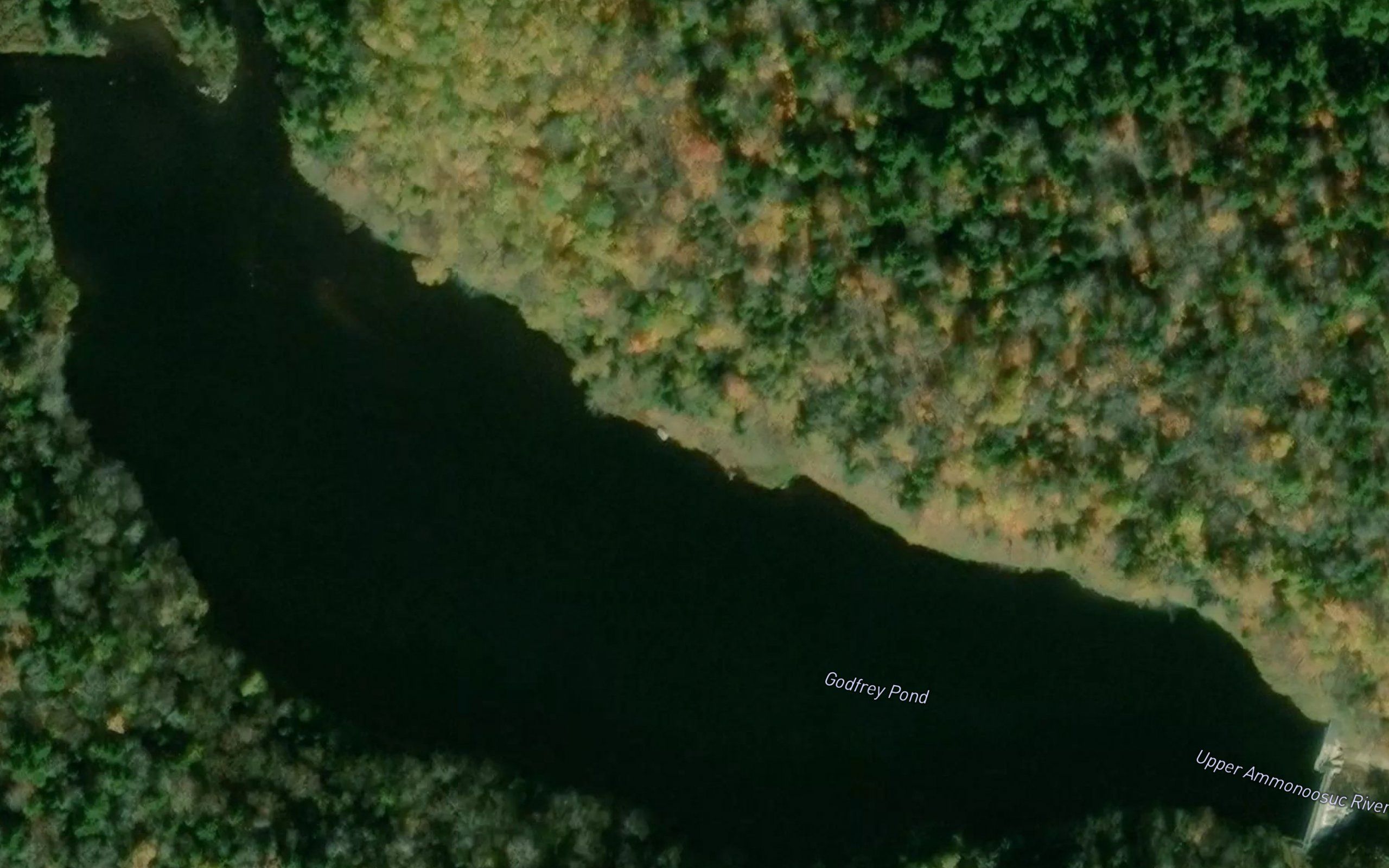 Godfrey Pond