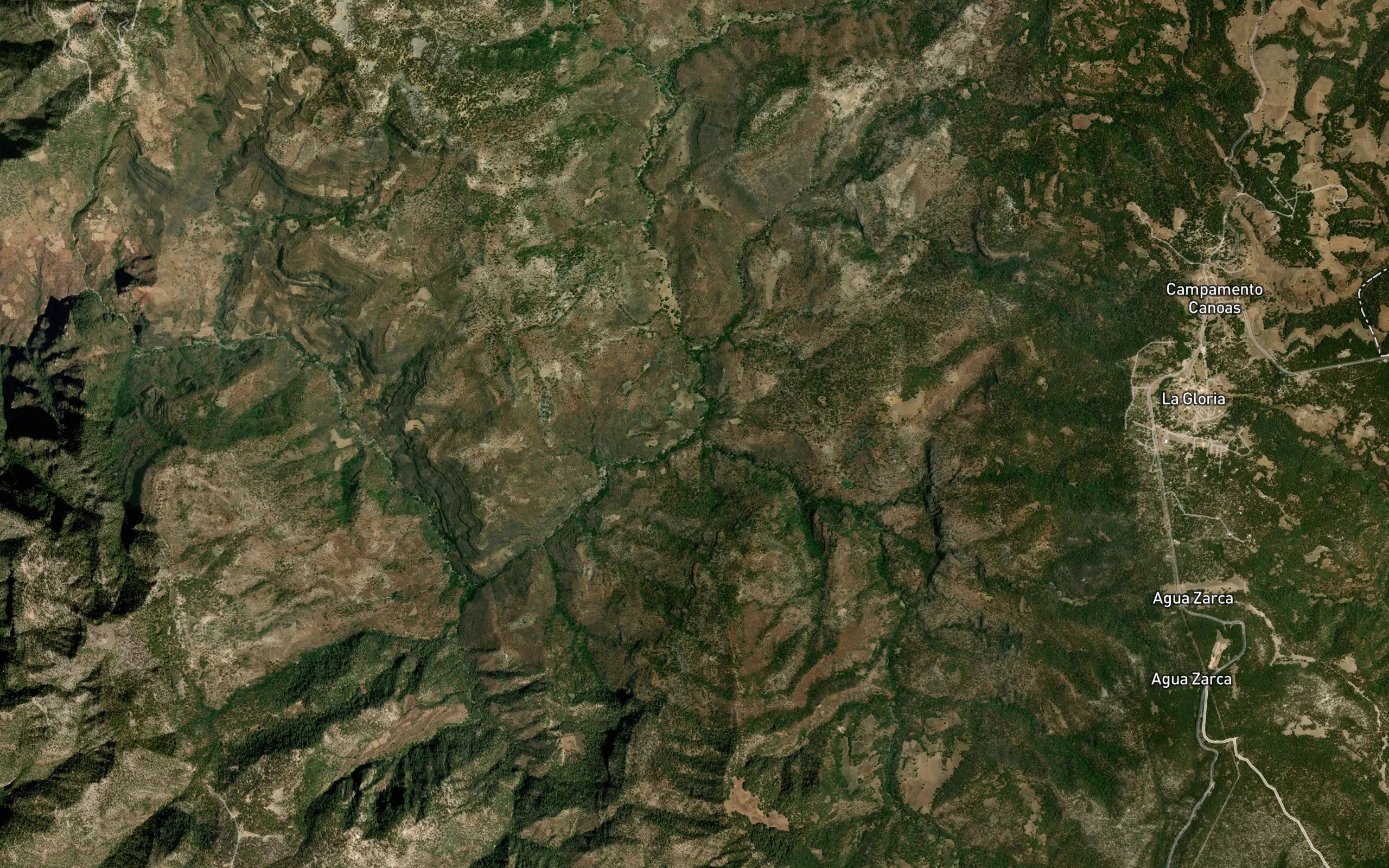 El Carrizal