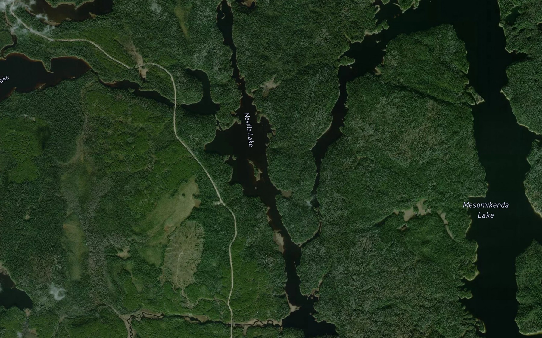 Satellite map of the Neville Lake