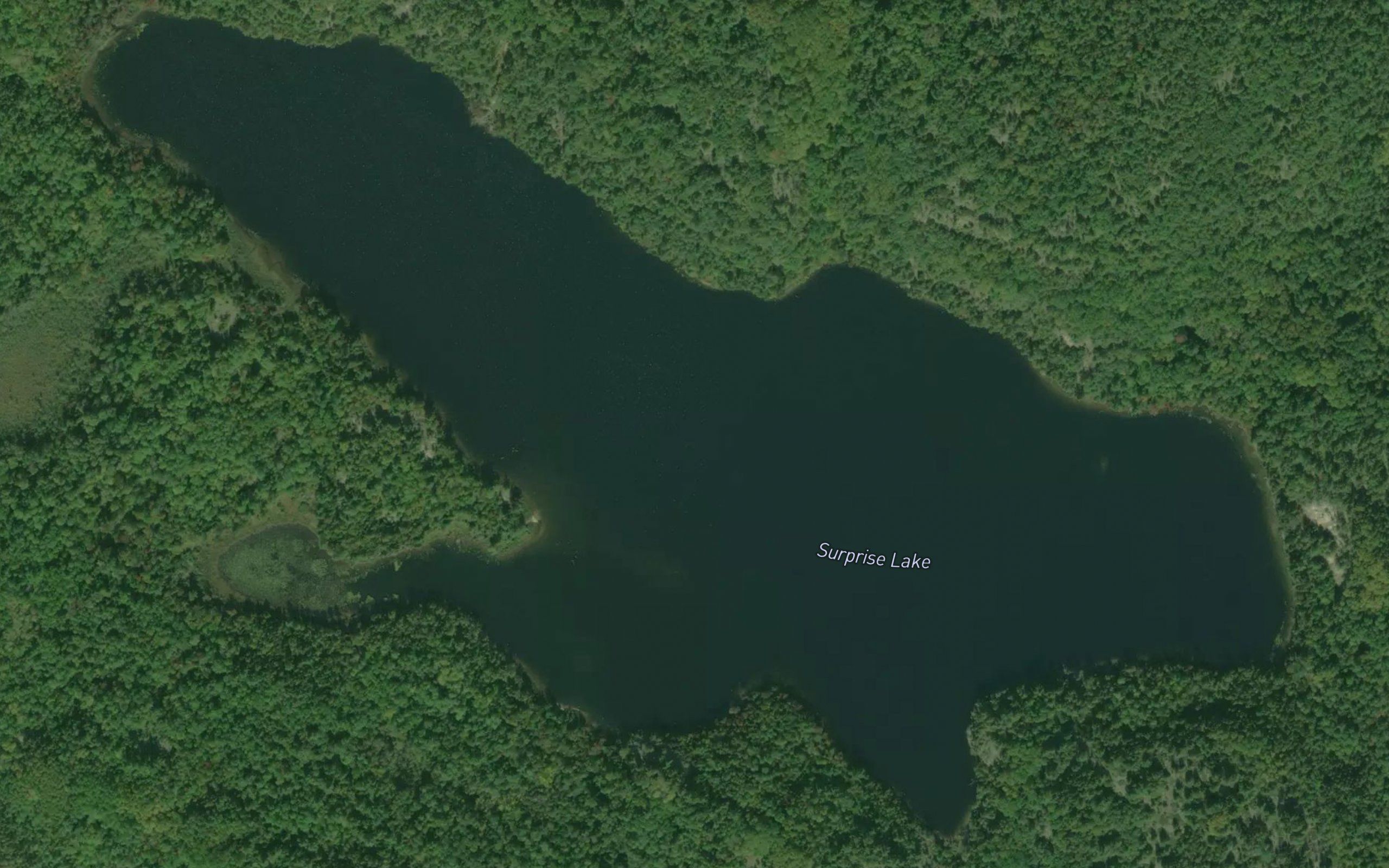 Surprise Lake