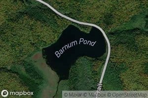 Barnum Pond