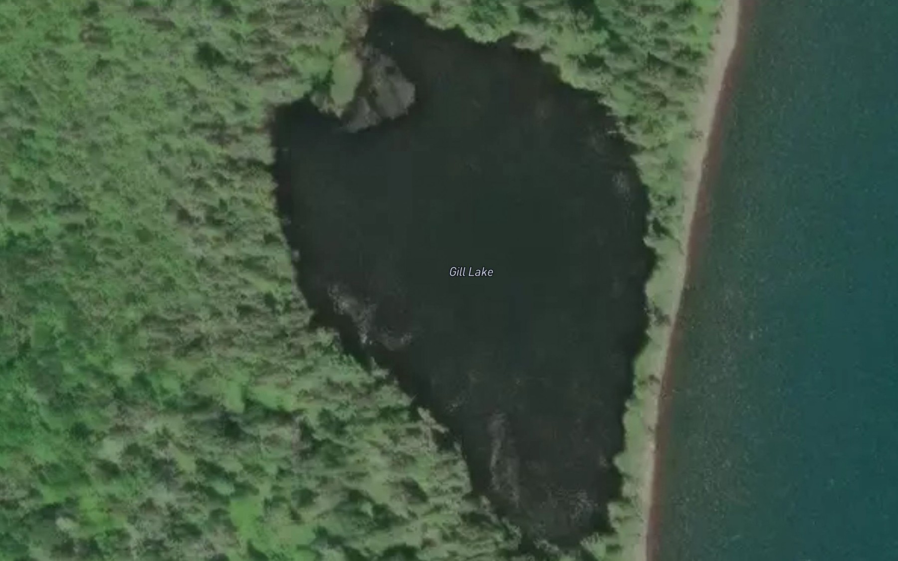 Satellite map of the Gill Lake