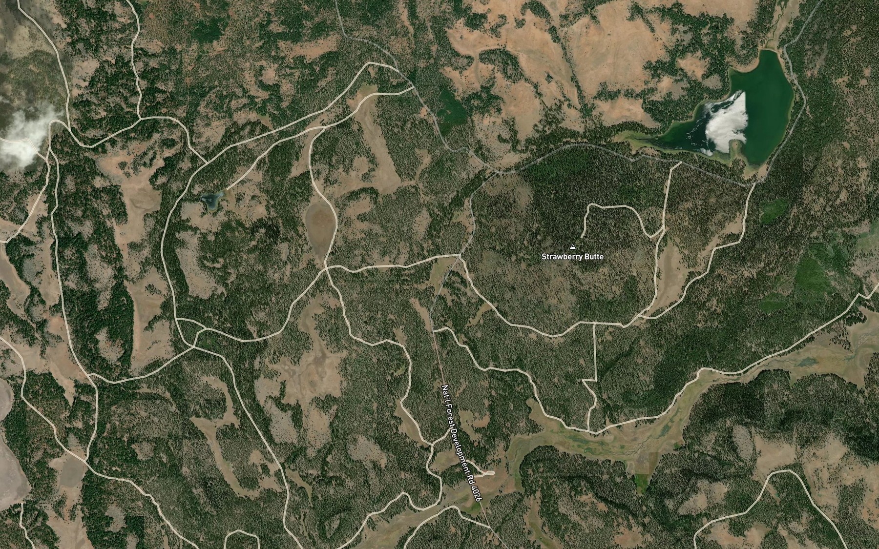 Satellite map of the Coleman Spring