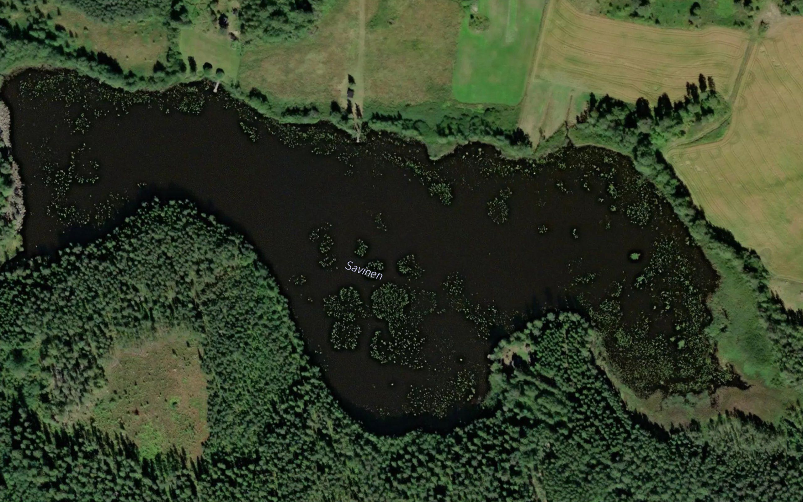 Savinen
