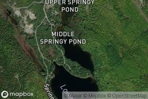 Middle Springy Pond