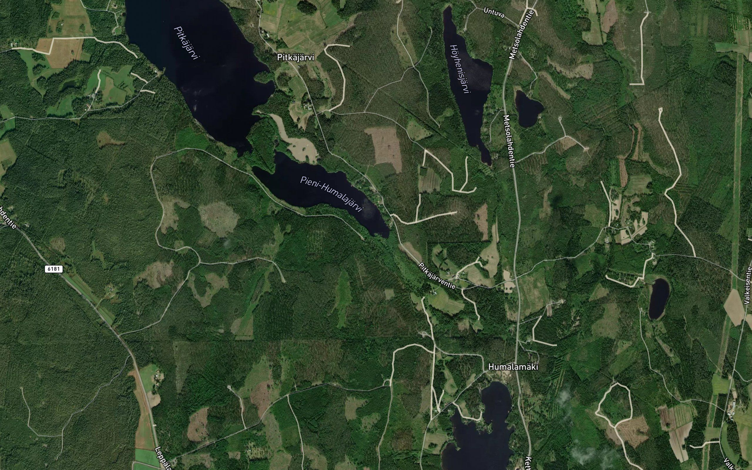 Ilvesjoki