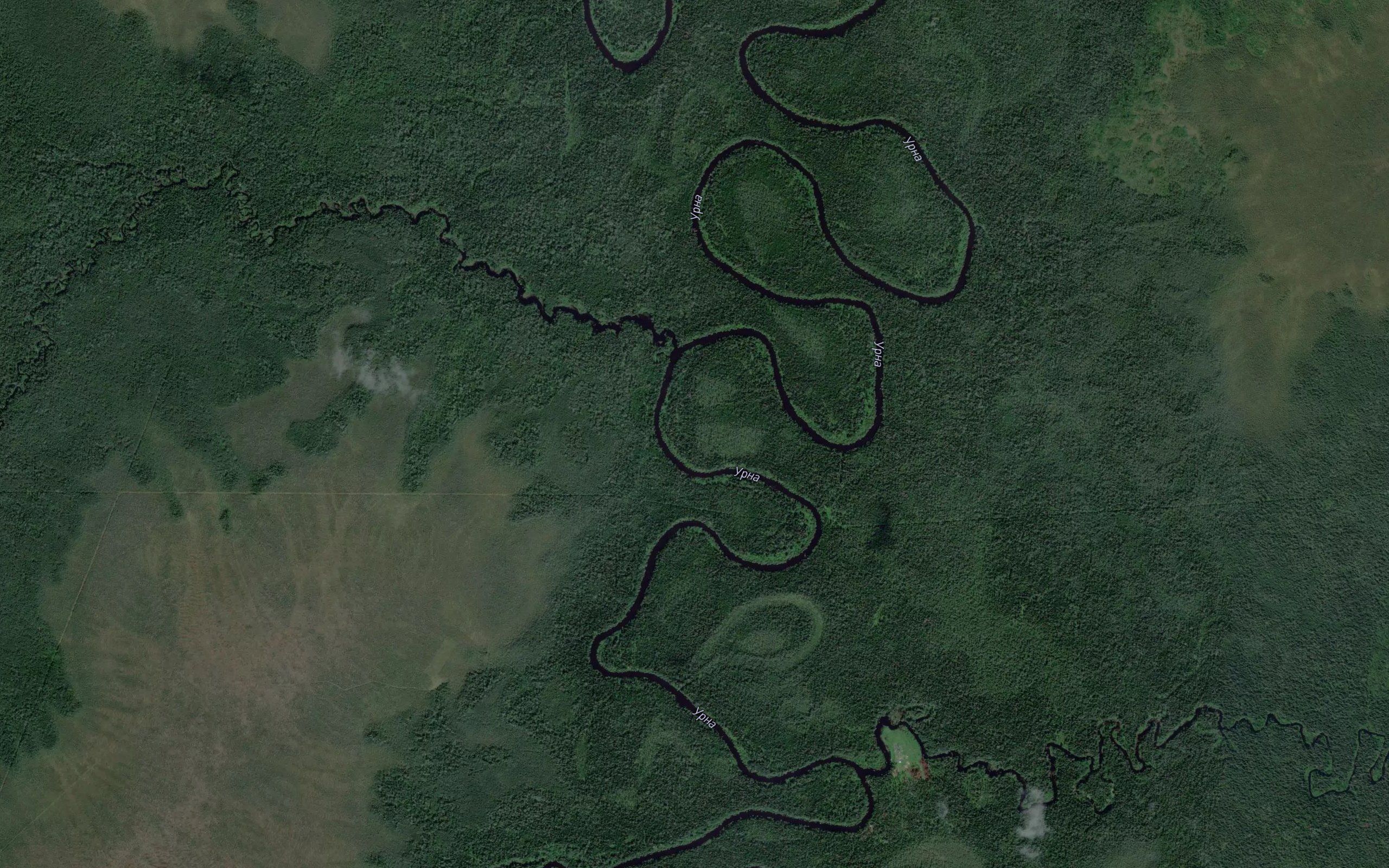 Okunevka