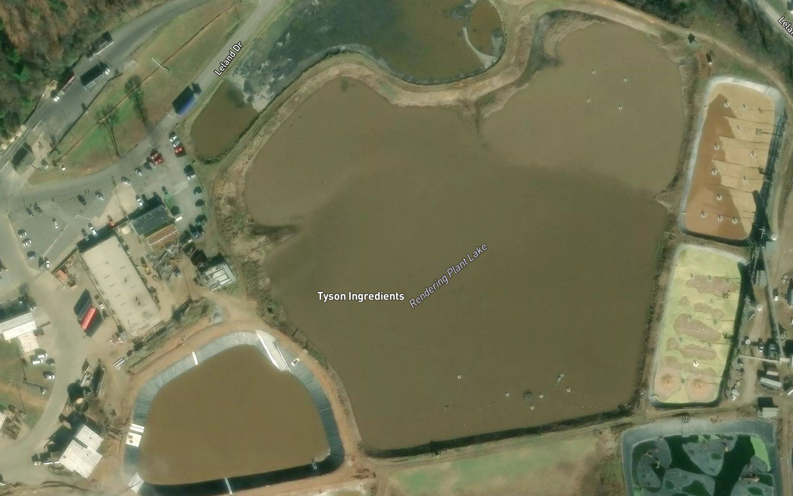 Rendering Plant Lake