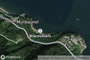 Brannebukta