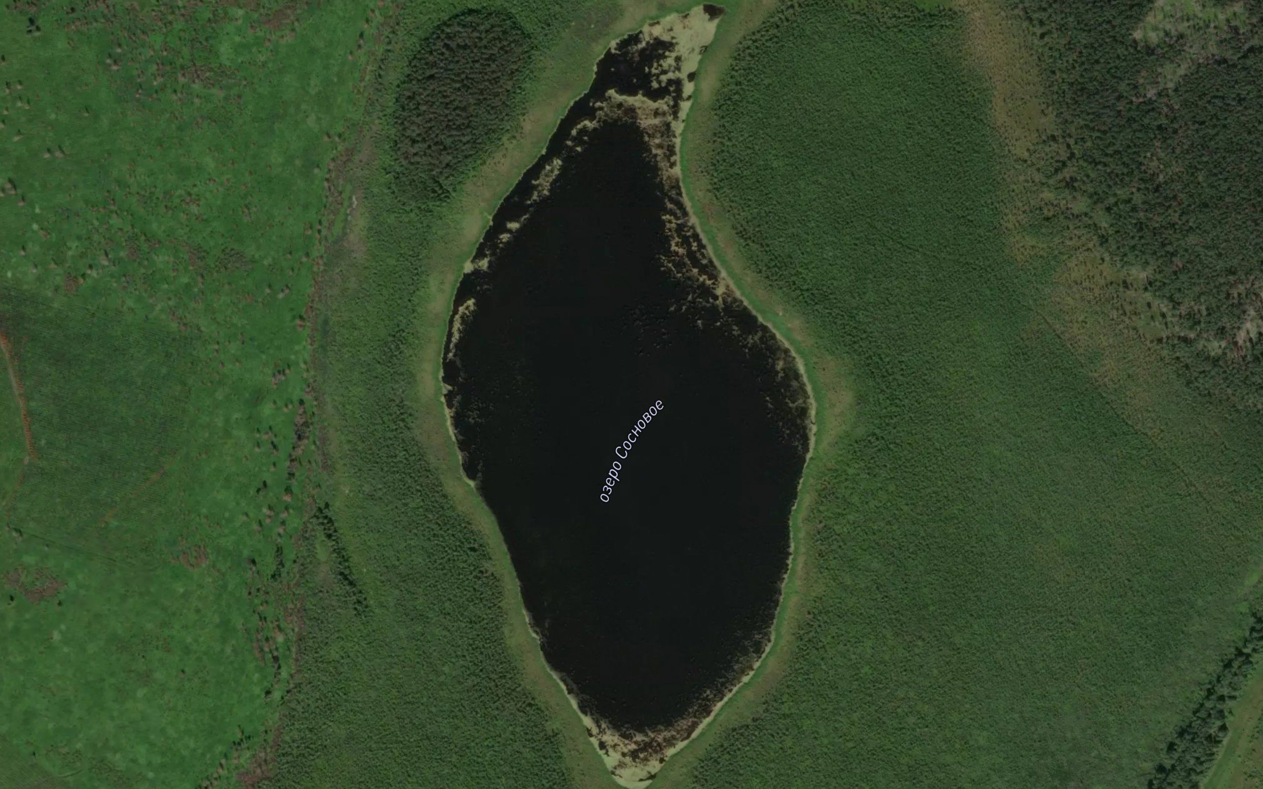 Ozero Sosnovoye