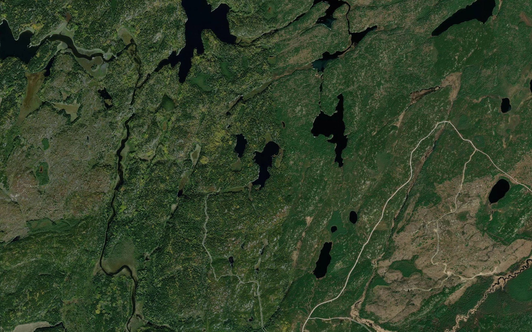 Satellite map of the Tower Lake