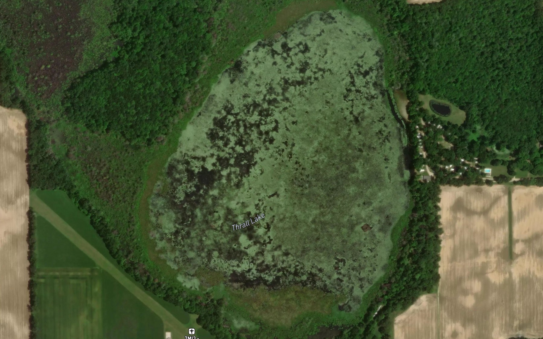 Satellite map of the Thrall Lake