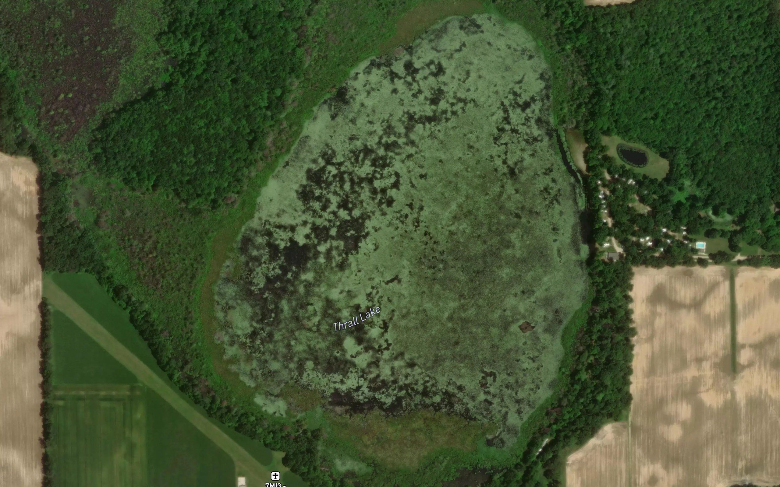 Thrall Lake