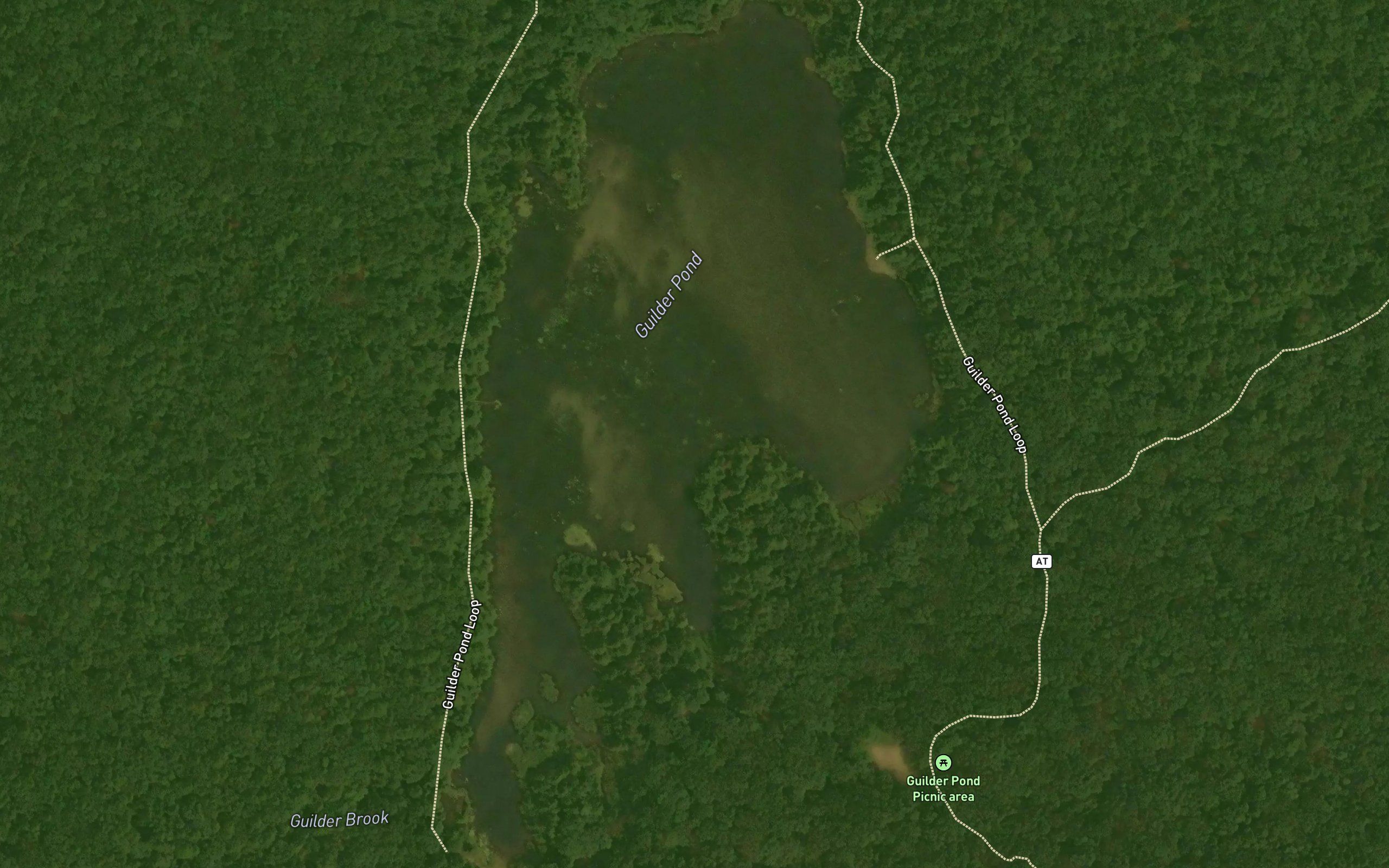 Guilder Pond