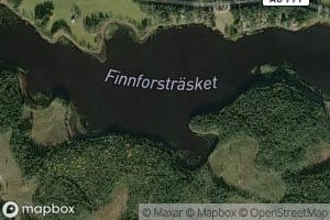 Finnforstrasket