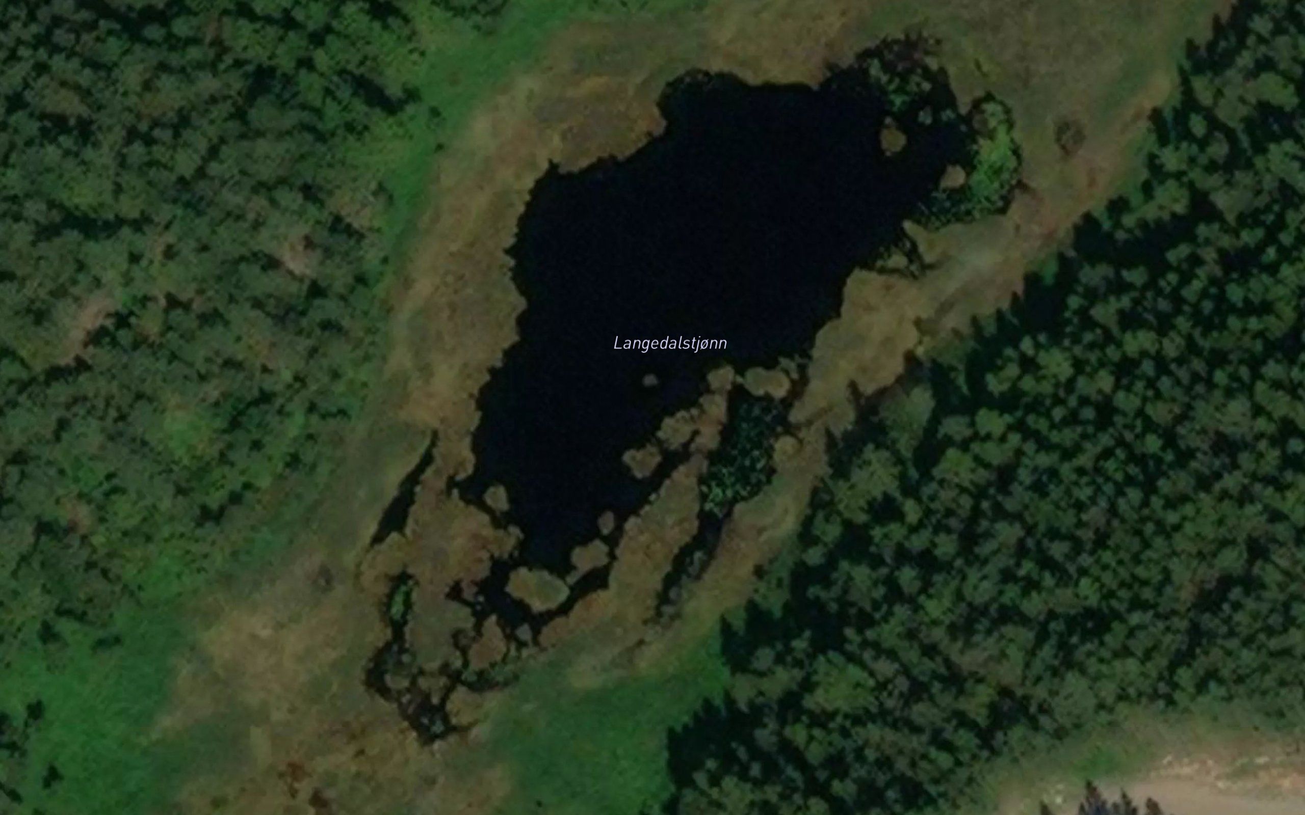 Langedalstjonn