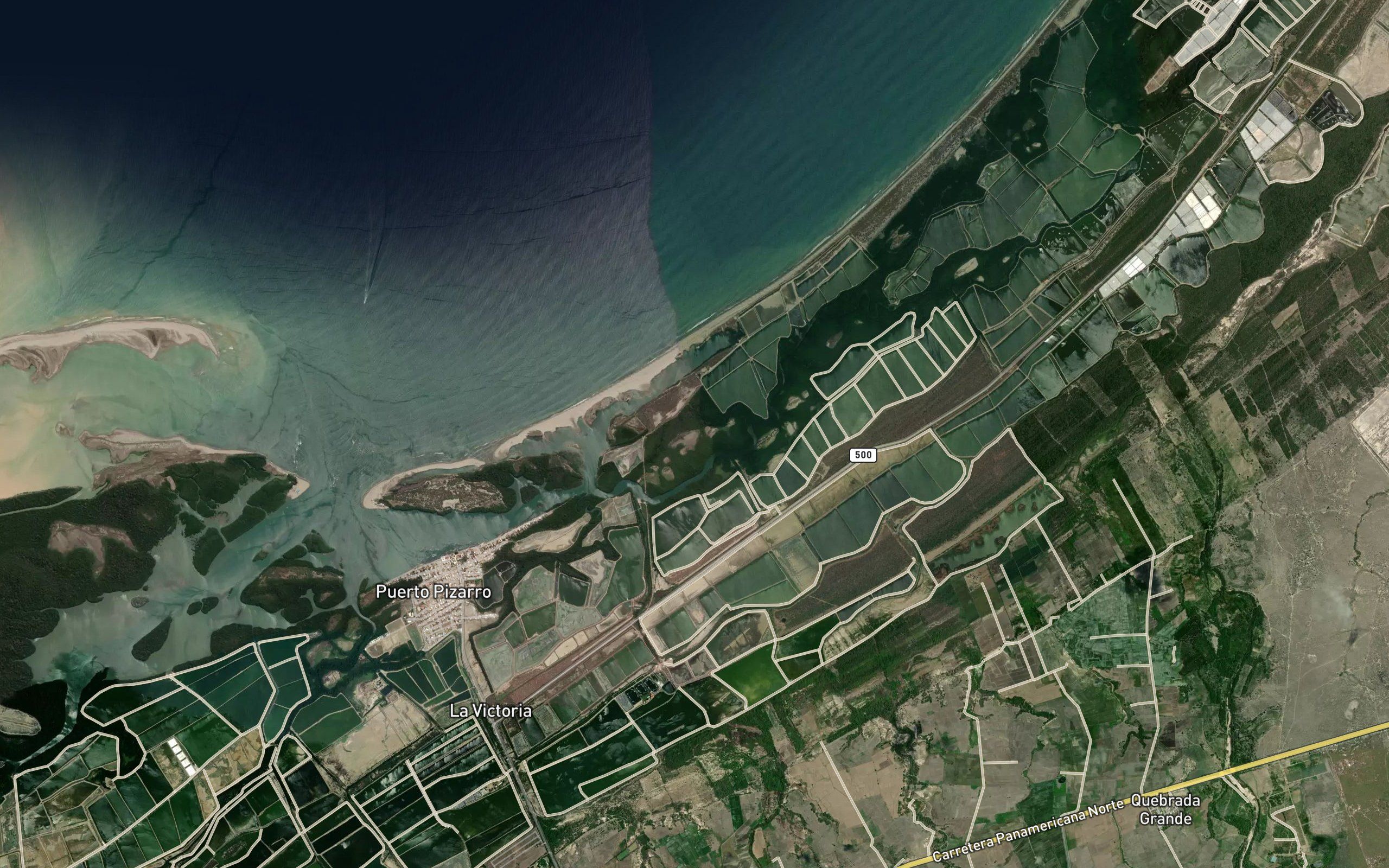 Estero Jeli