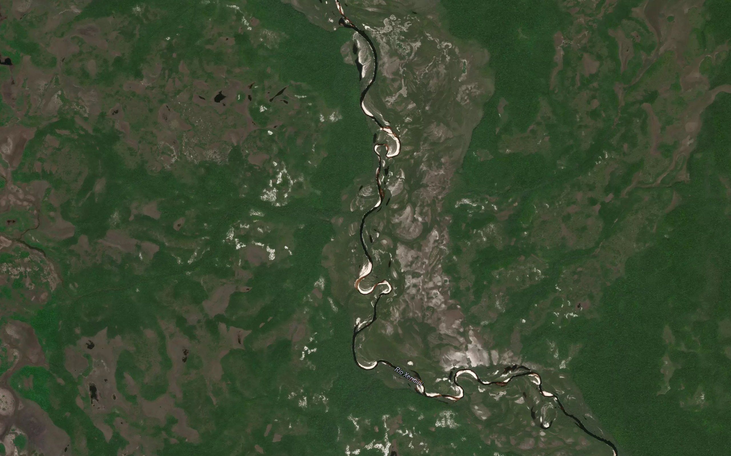 Igarape Guariba