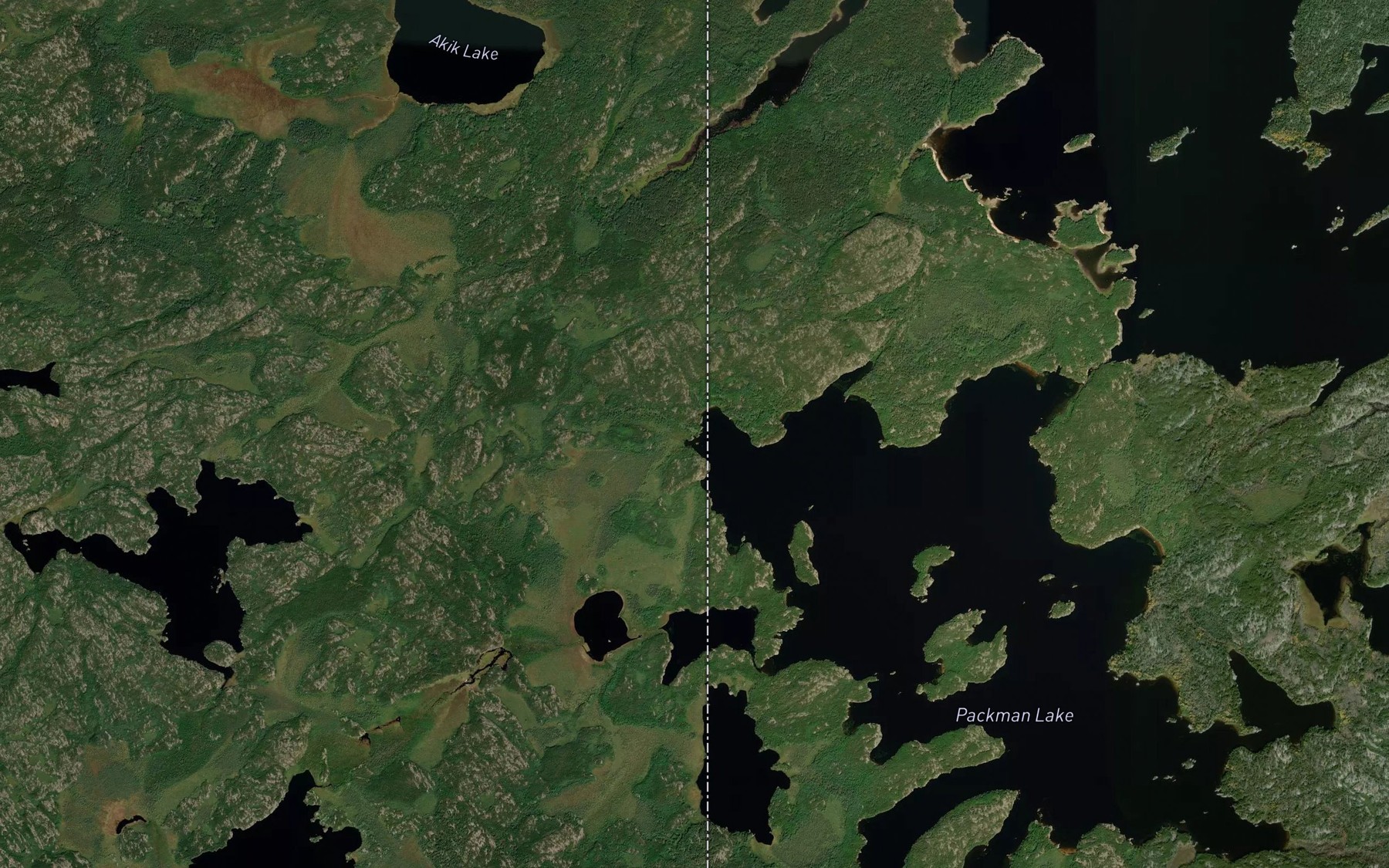 Satellite map of the Packman Lake