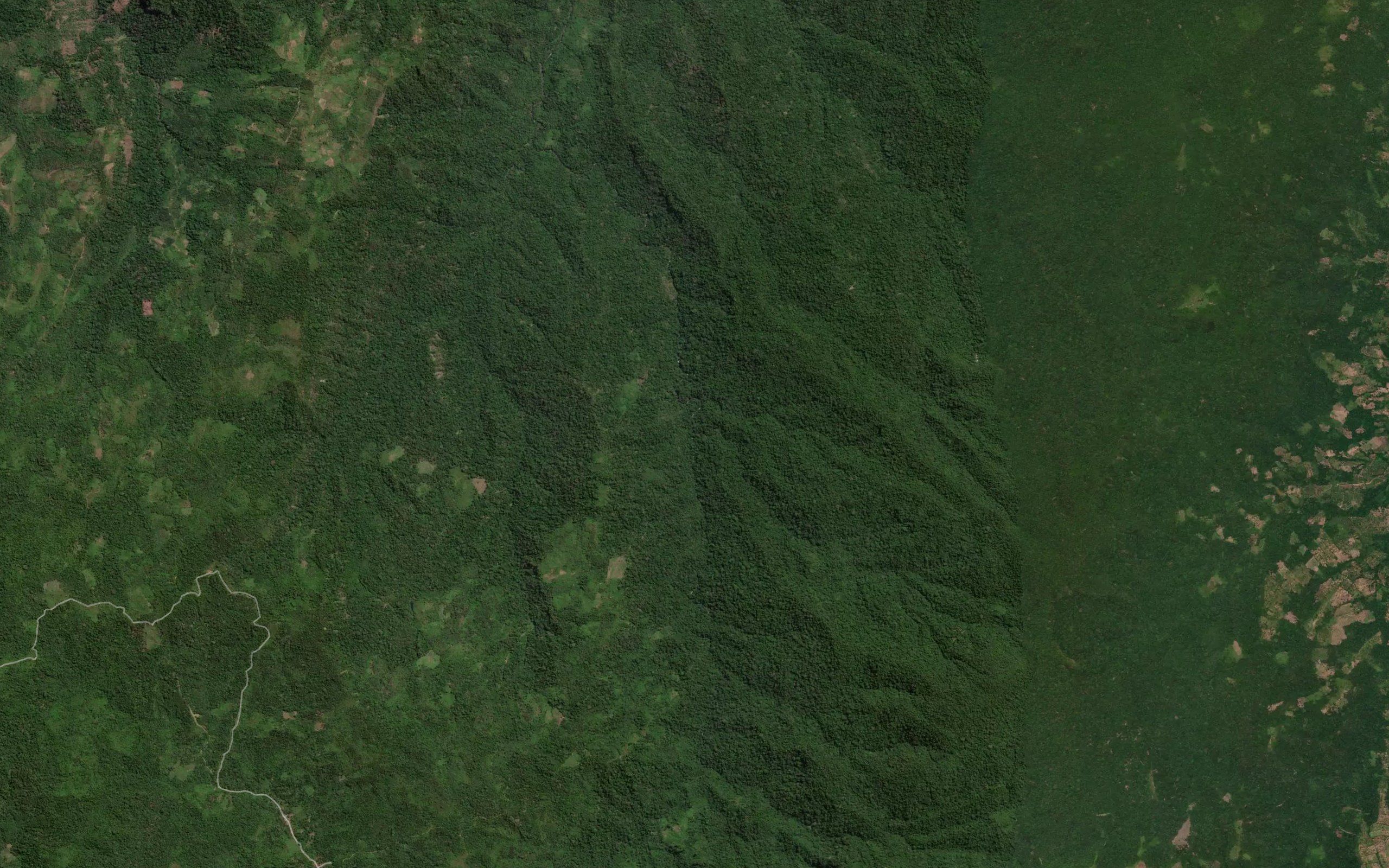 Royongan Panowangko