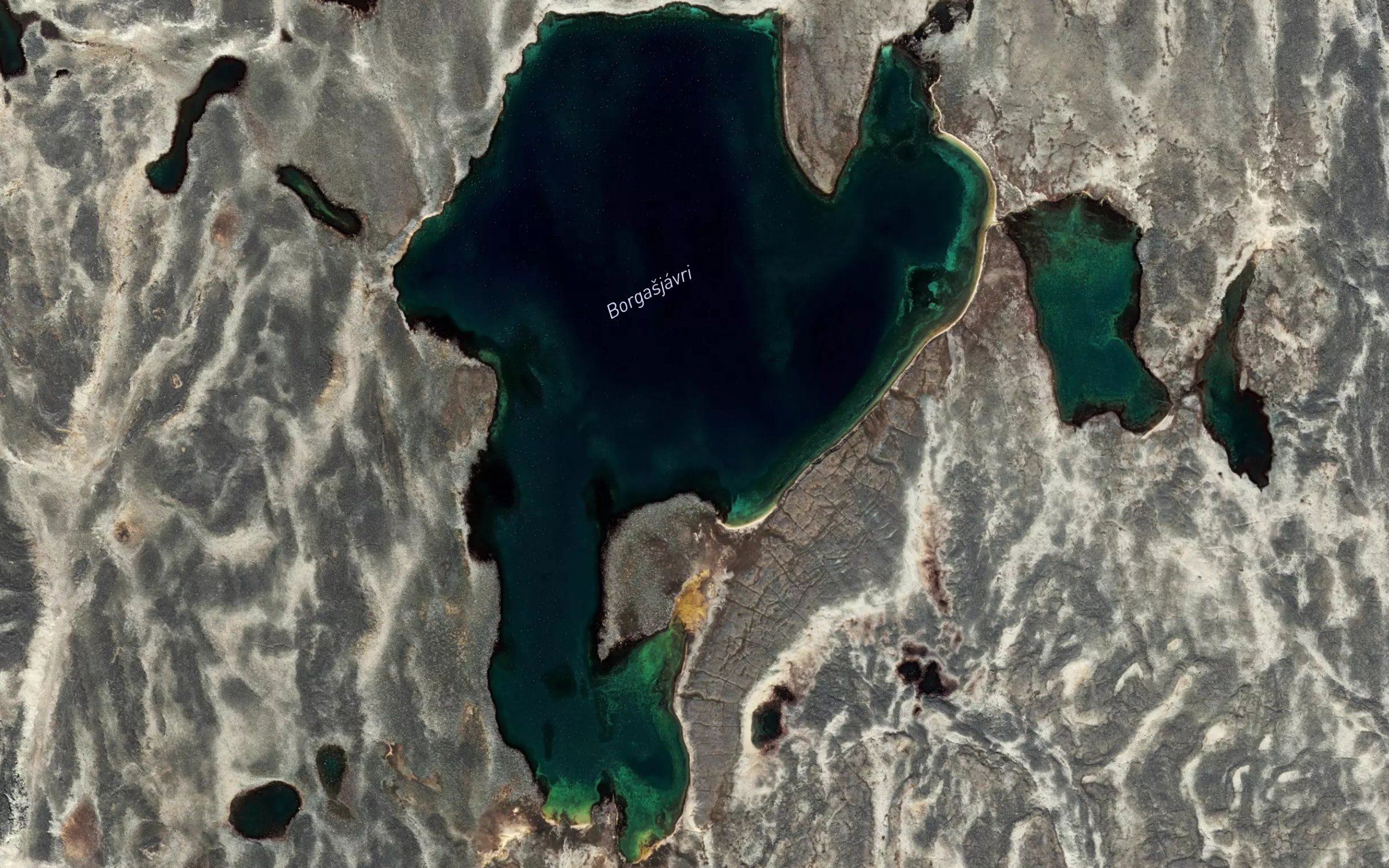 Borgasjavri