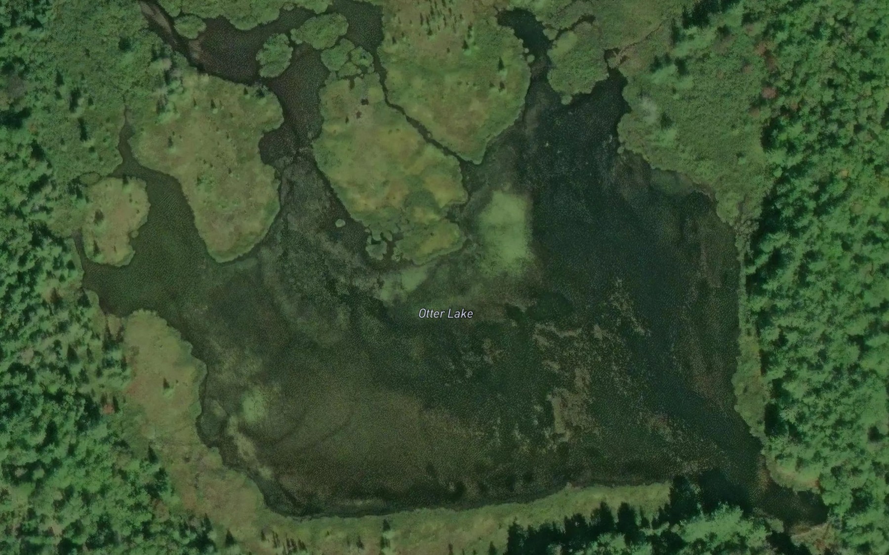 Satellite map of the Otter Lake
