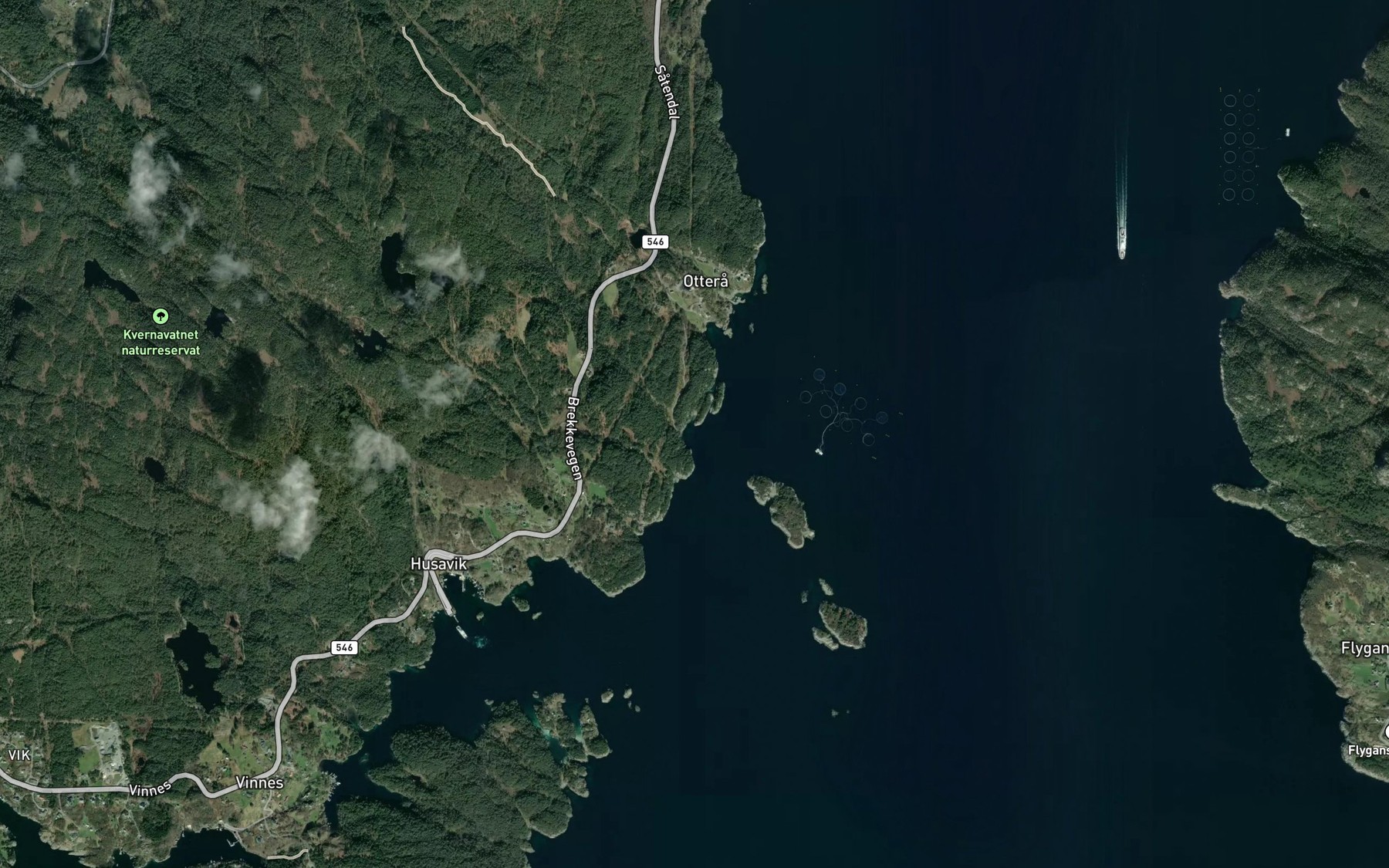 Satellite map of the Bolevika