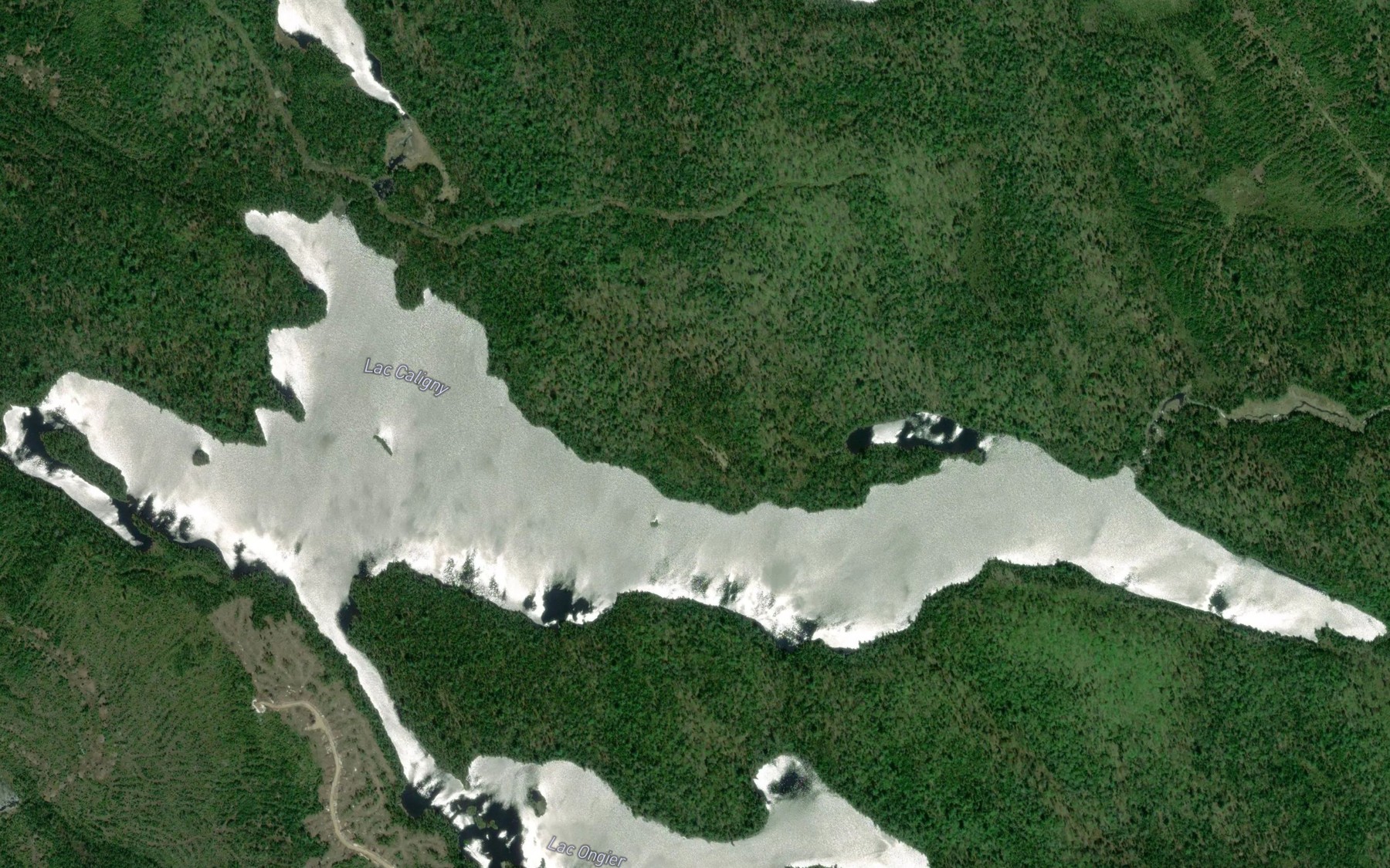 Satellite map of the Lac Caligny