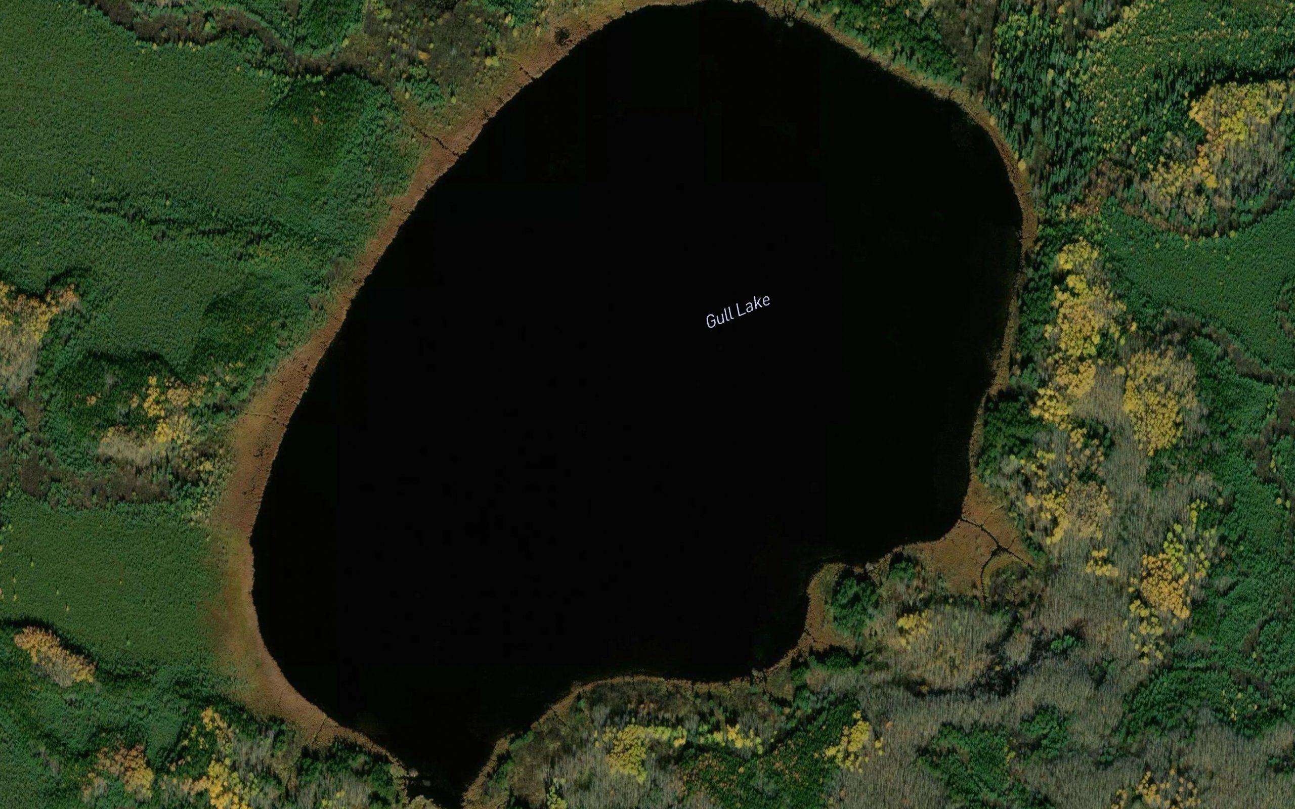 Gull Lake