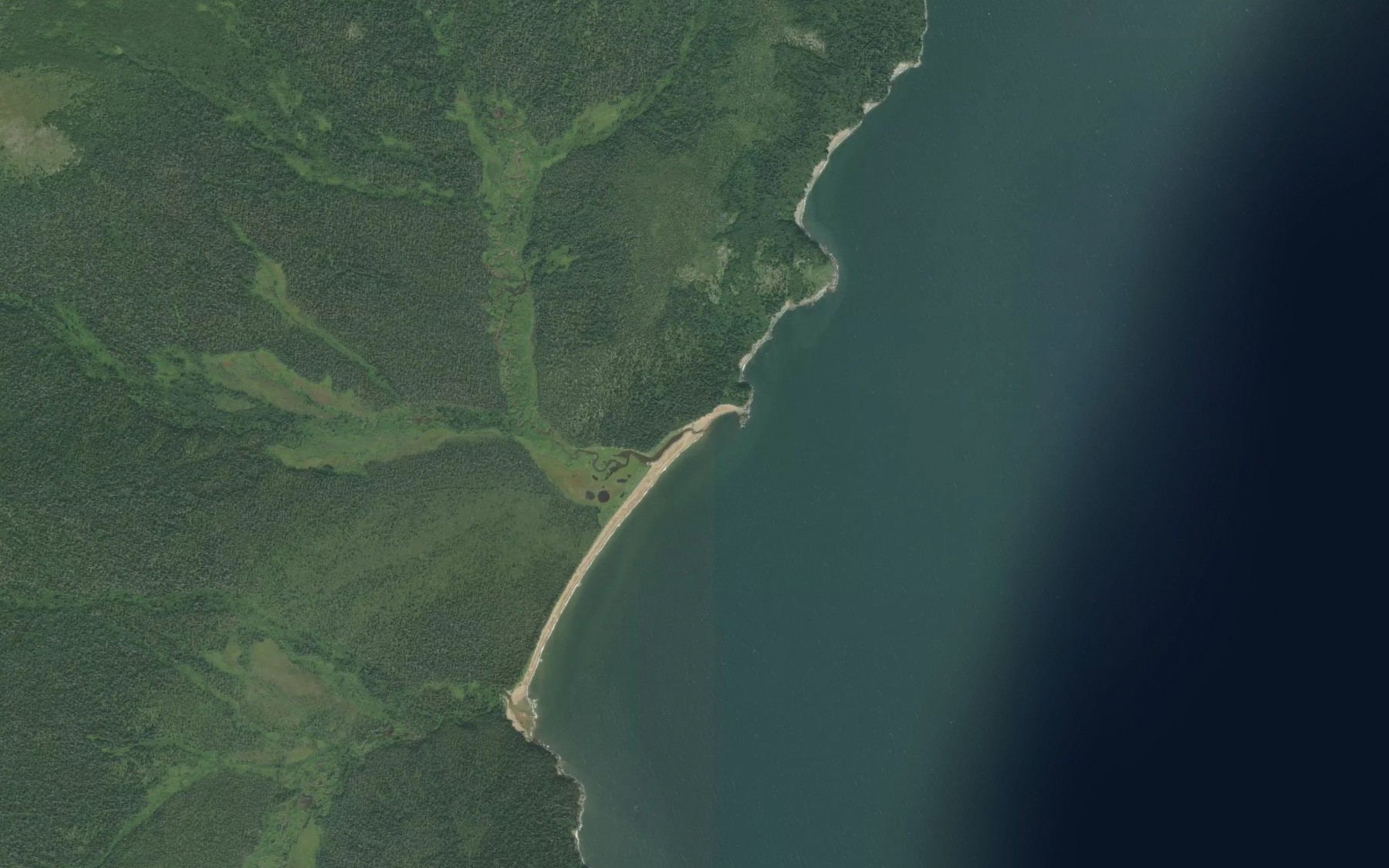 Satellite map of the Carson Creek