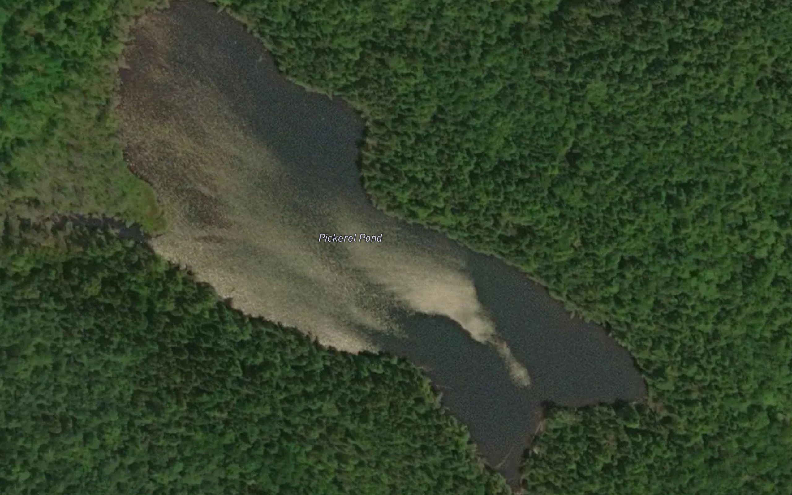 Pickerel Pond
