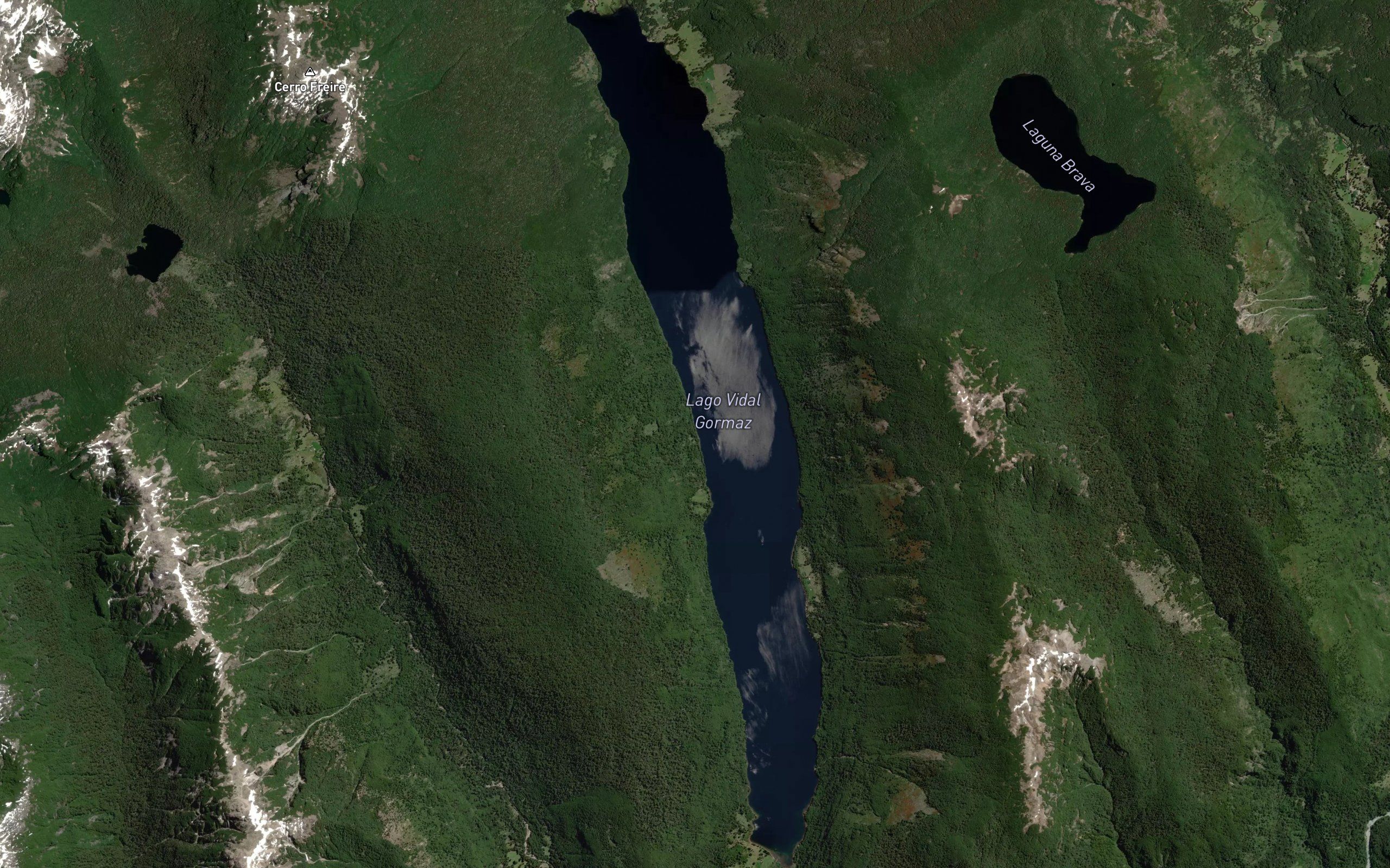 Lago Vidal Gormaz