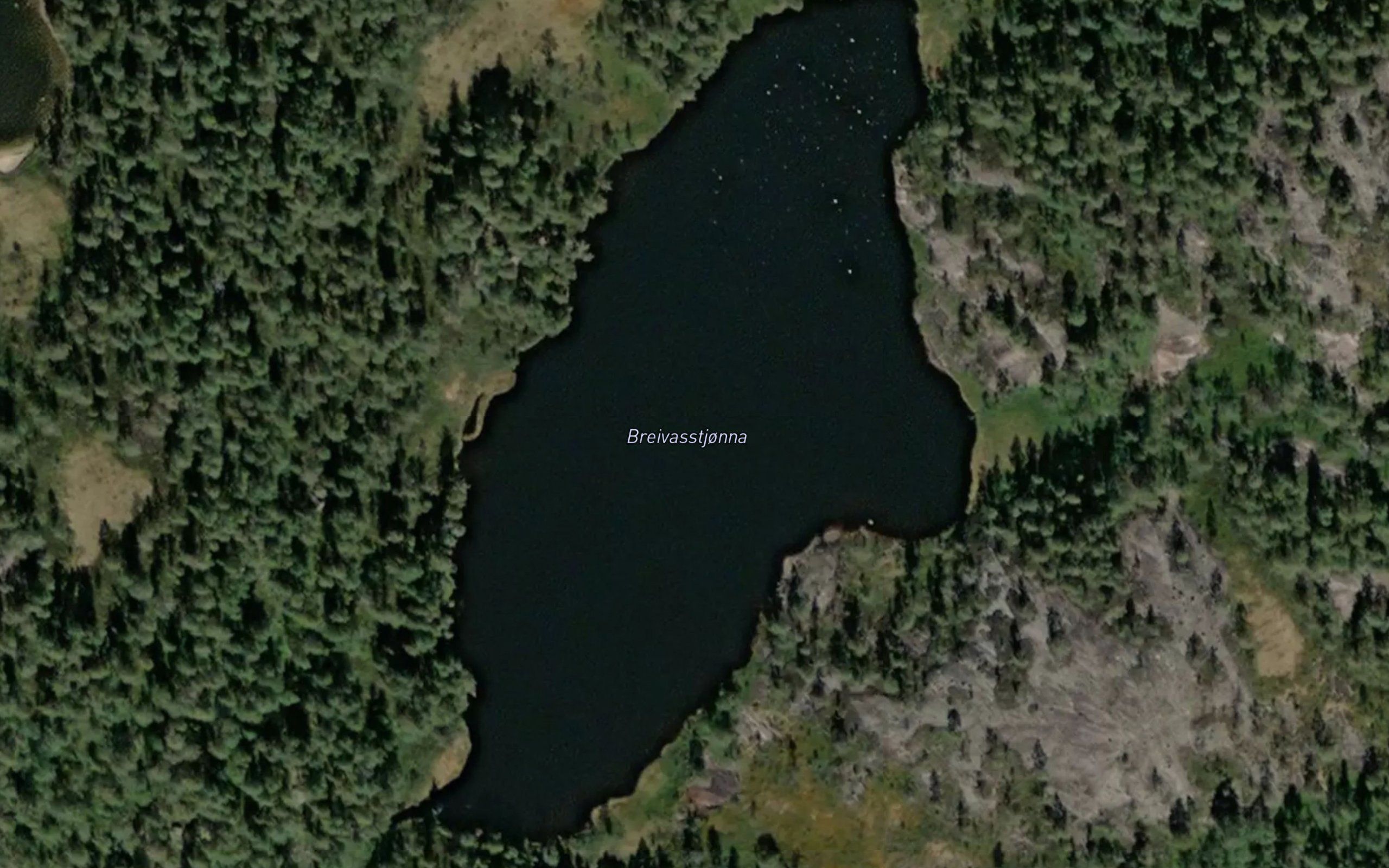 Breivasstjonna