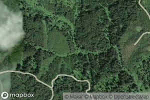 Coon Creek
