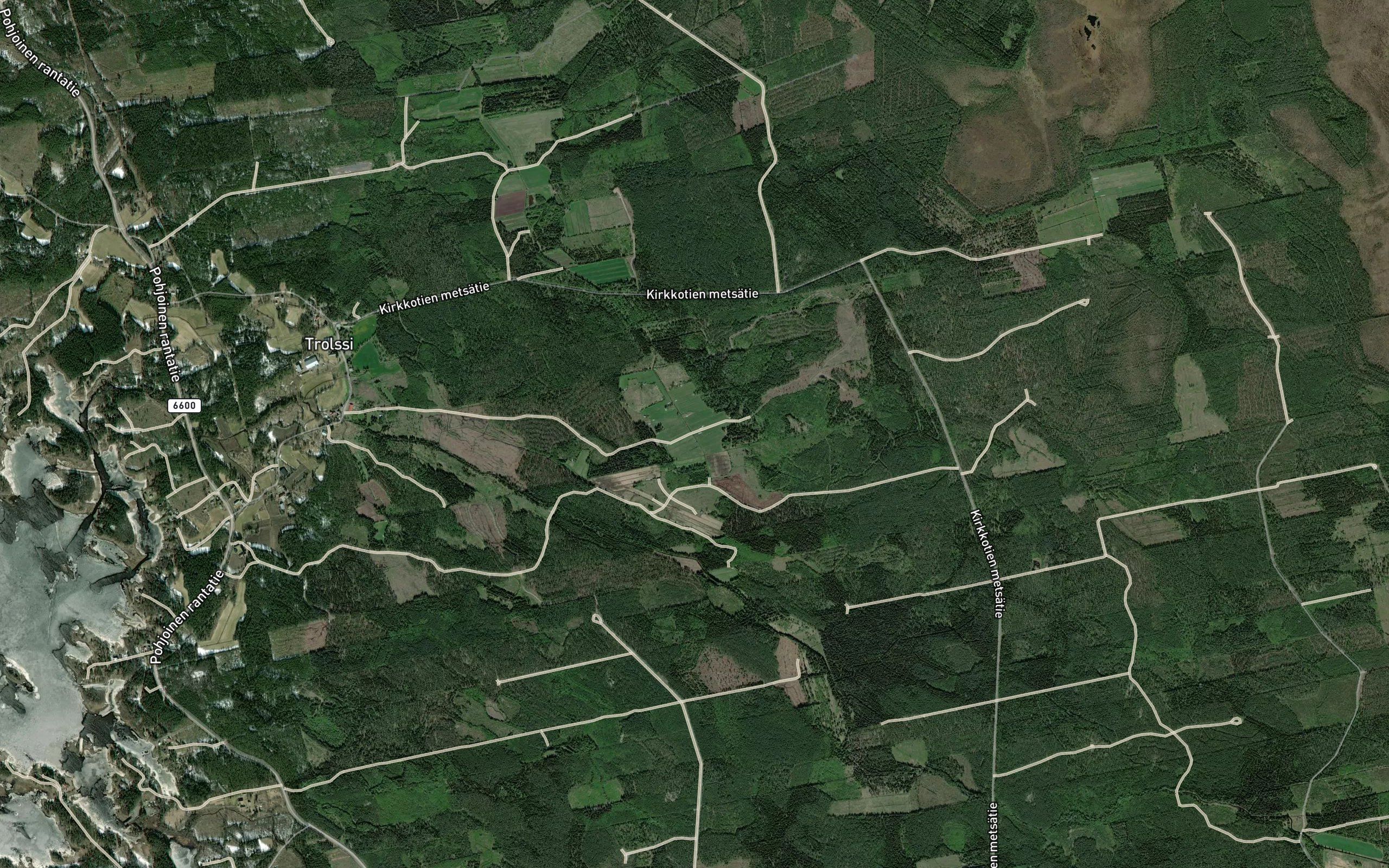 Metsaoja