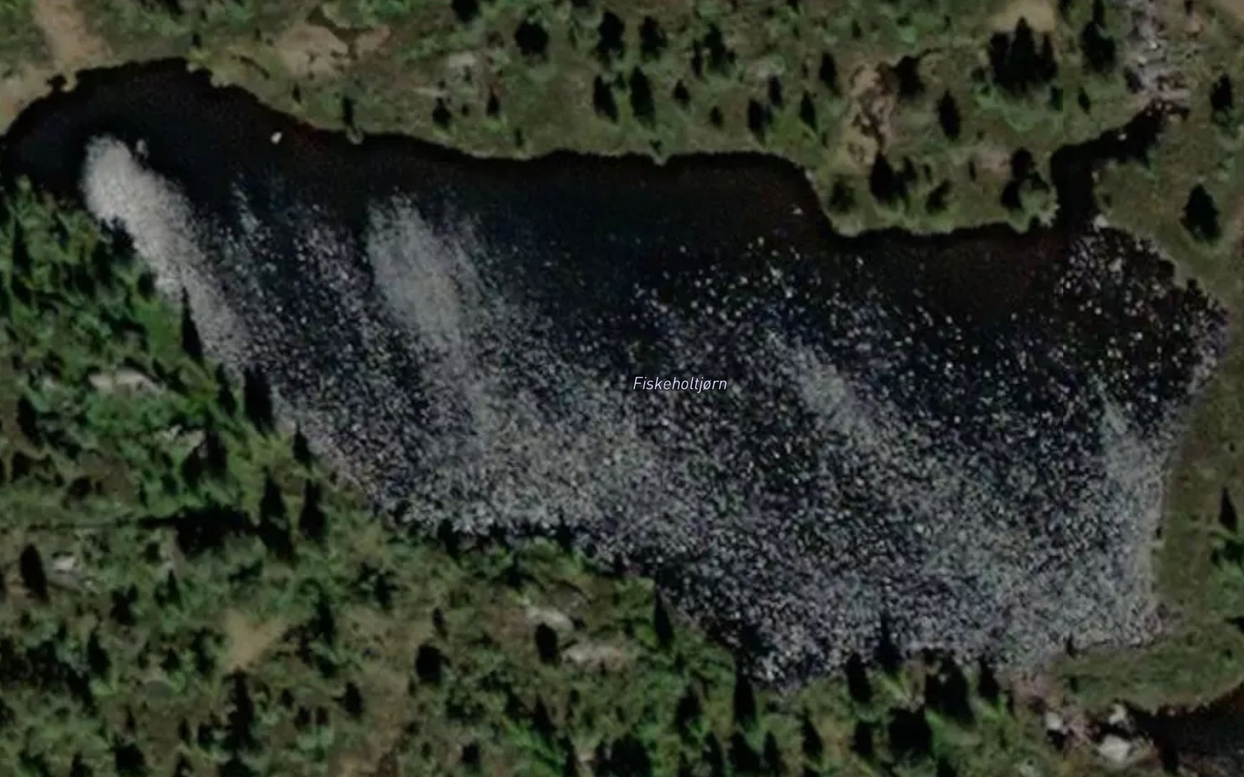 Satellite map of the Fiskeholtjorn
